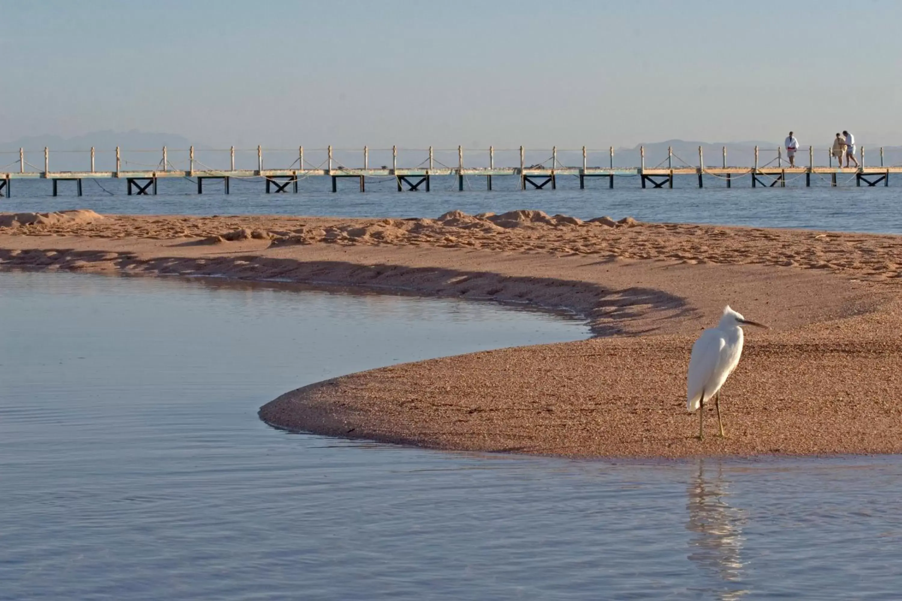 Beach in Aurora Oriental Resort Sharm El Sheikh