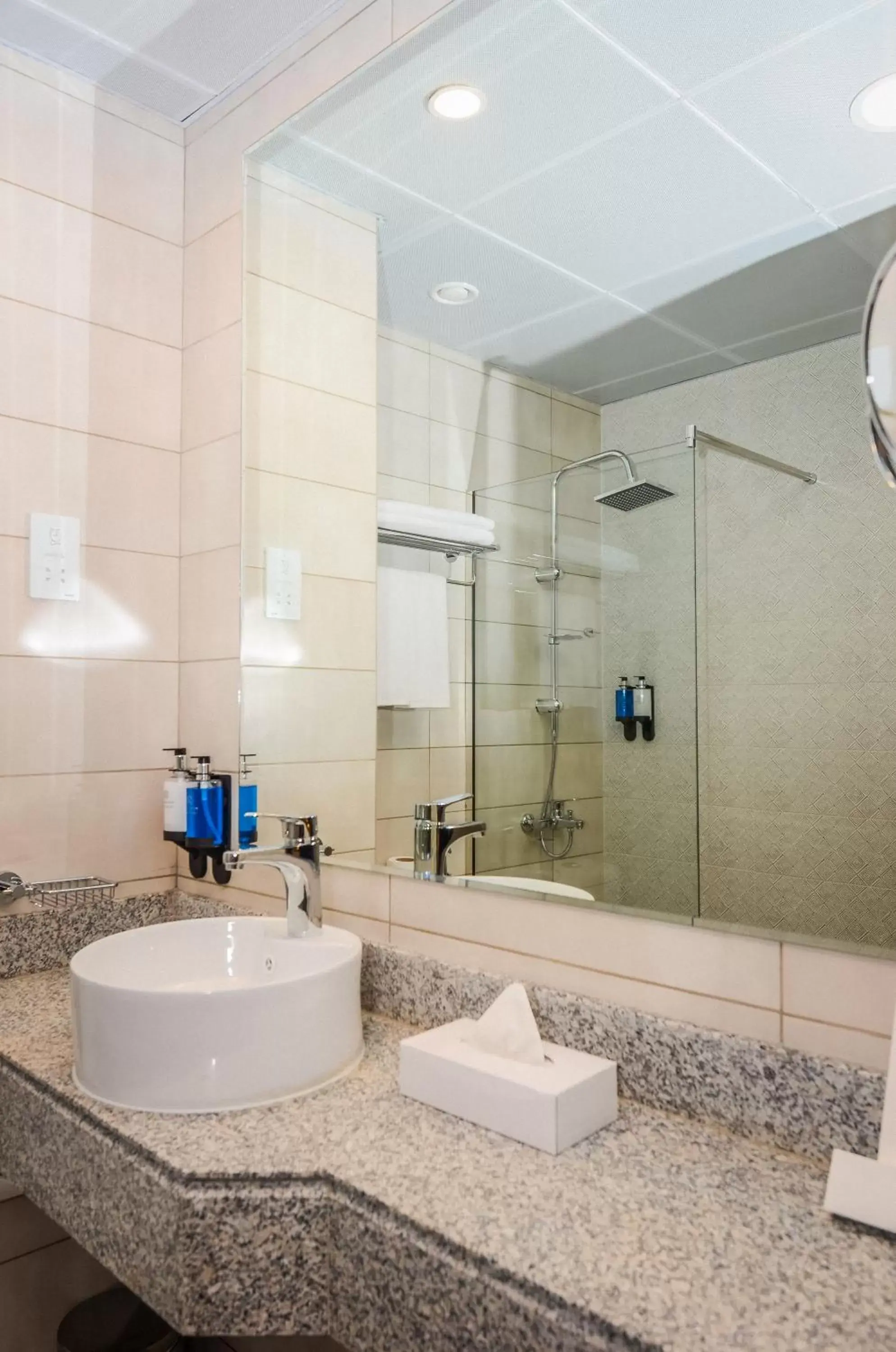 Shower, Bathroom in Best Western Plus Dubai Academic City