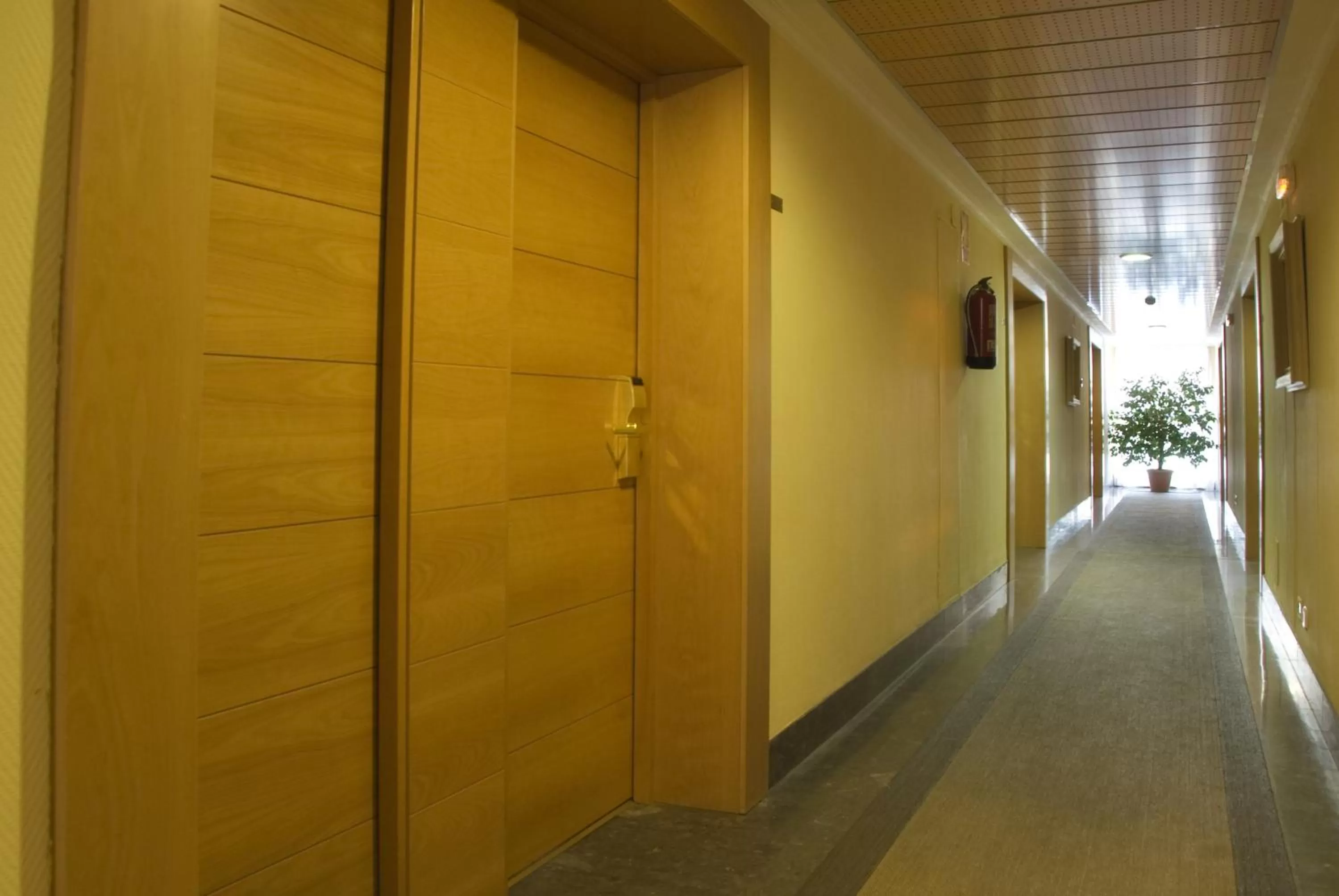 Decorative detail in Los Arcos