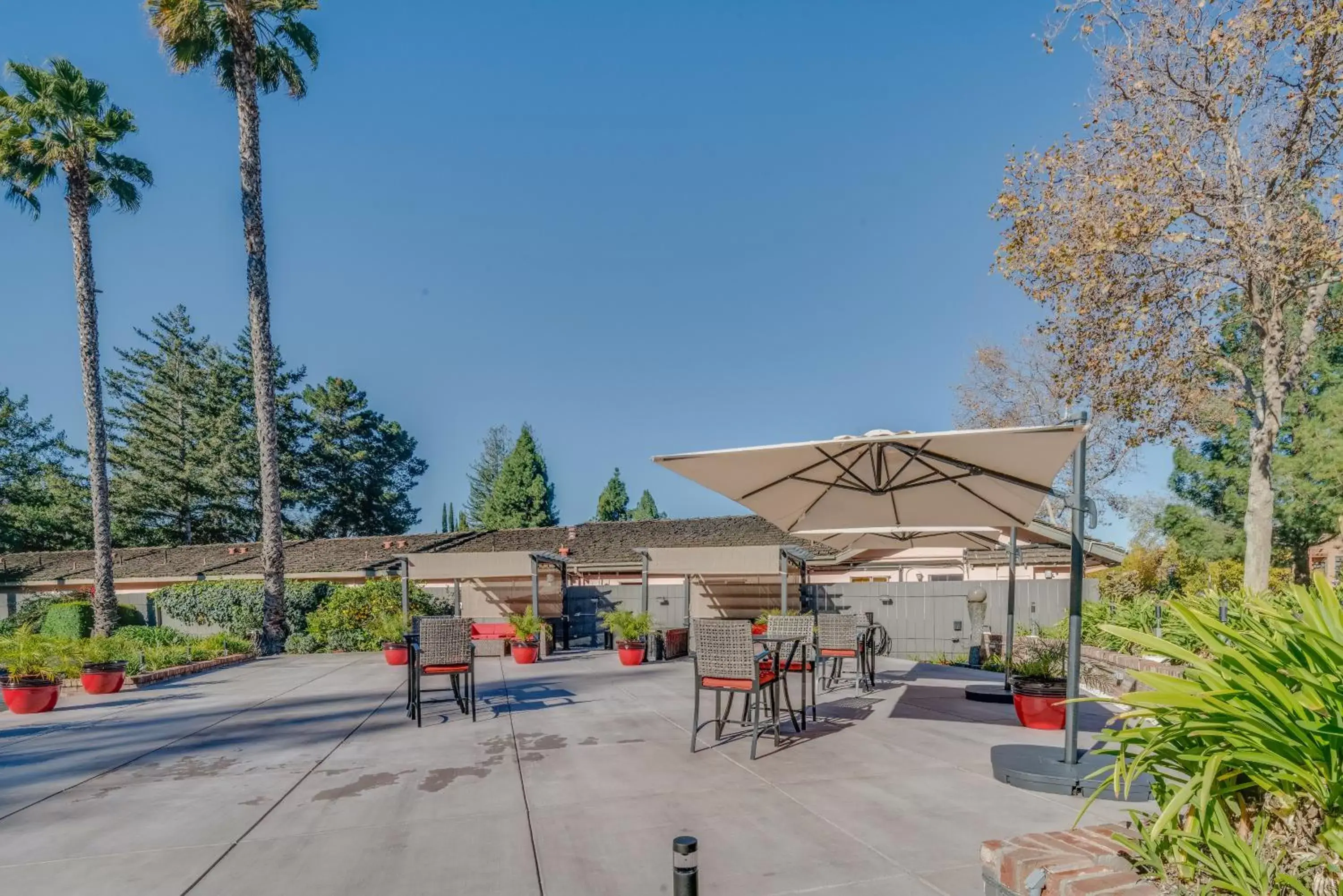 Patio in The Palo Alto Inn