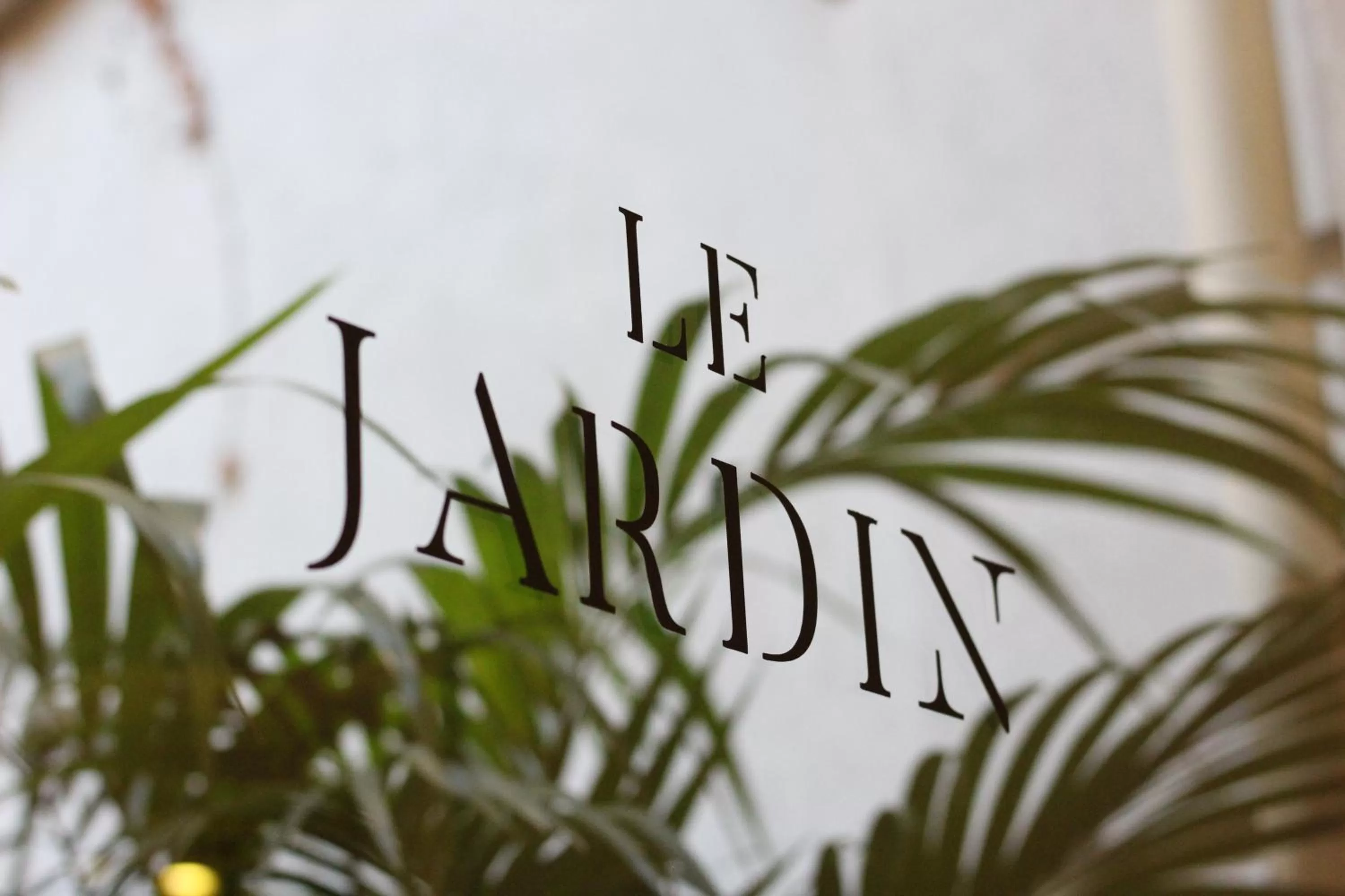 Garden in Carsson Hotel Downtown Buenos Aires