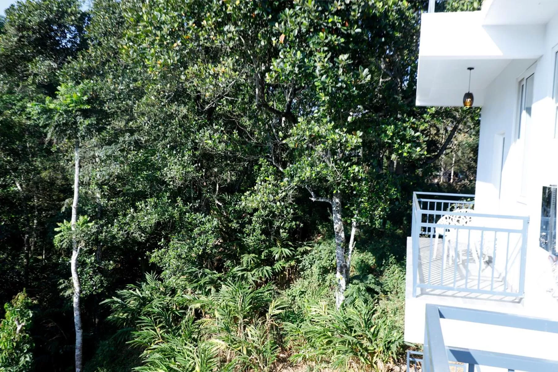 Balcony/Terrace in Casillda Munnar