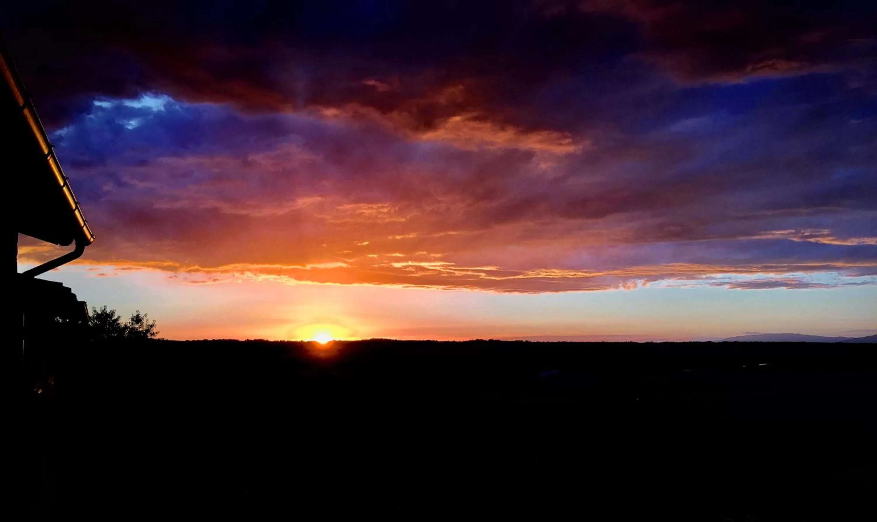 View (from property/room) in Tenuta Badia '99