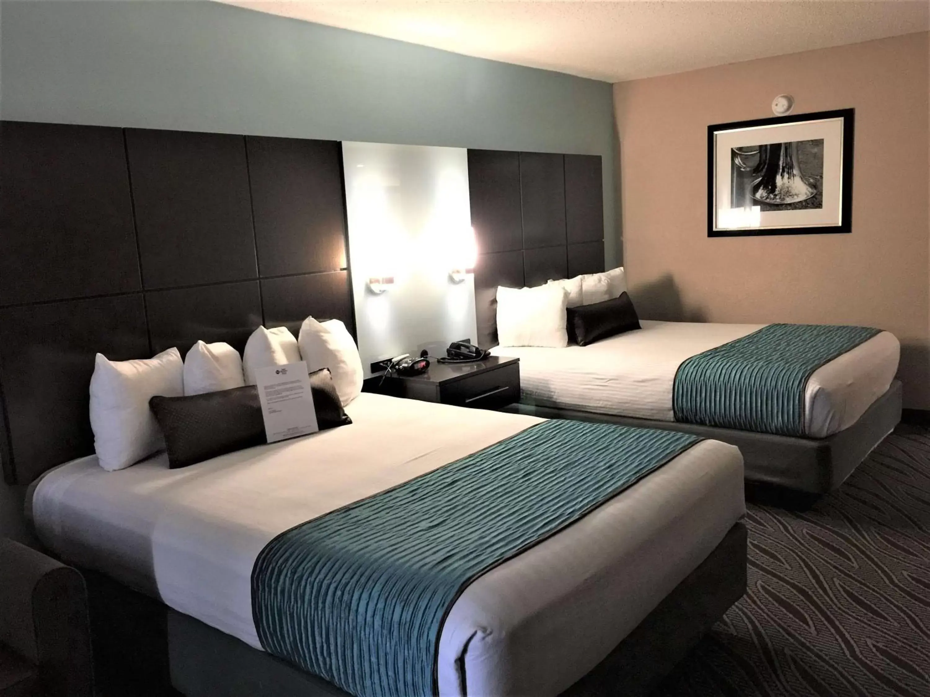 Photo of the whole room, Bed in Best Western Plus Galleria Inn & Suites