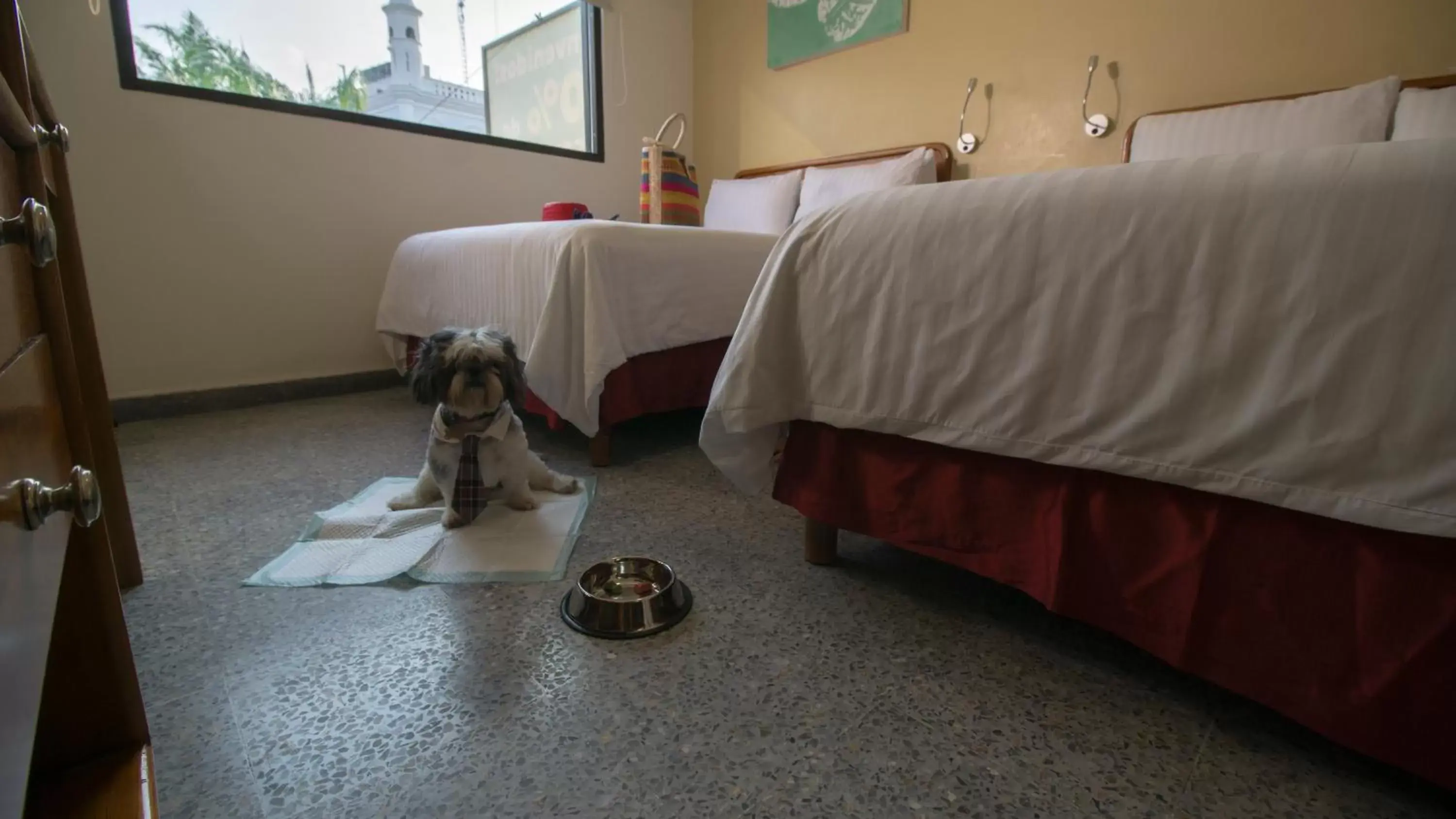 Pets, Bed in Hotel Urban Express Pets, Bed in Hotel Urban Express