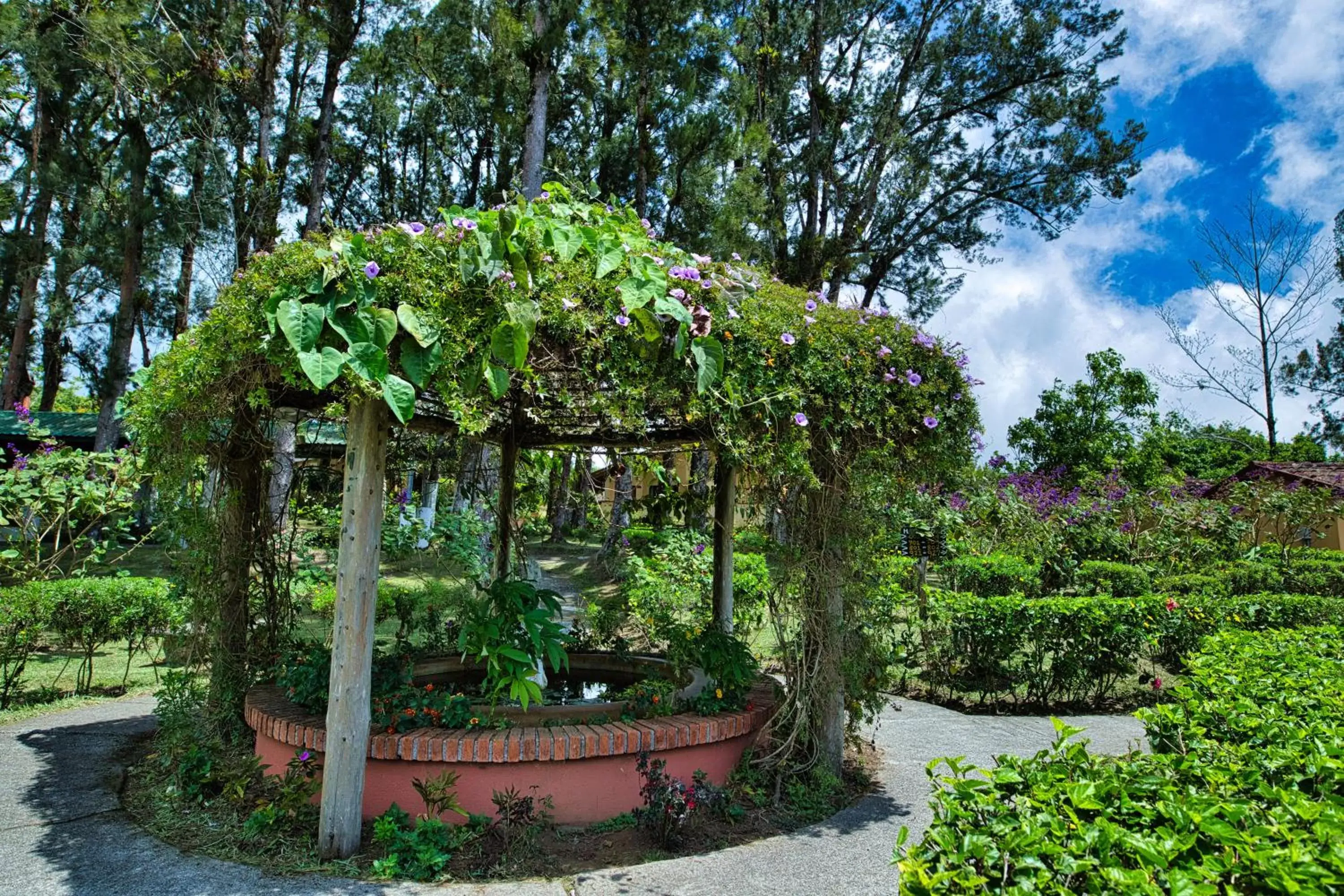 Garden in Hotel Villa Zurqui