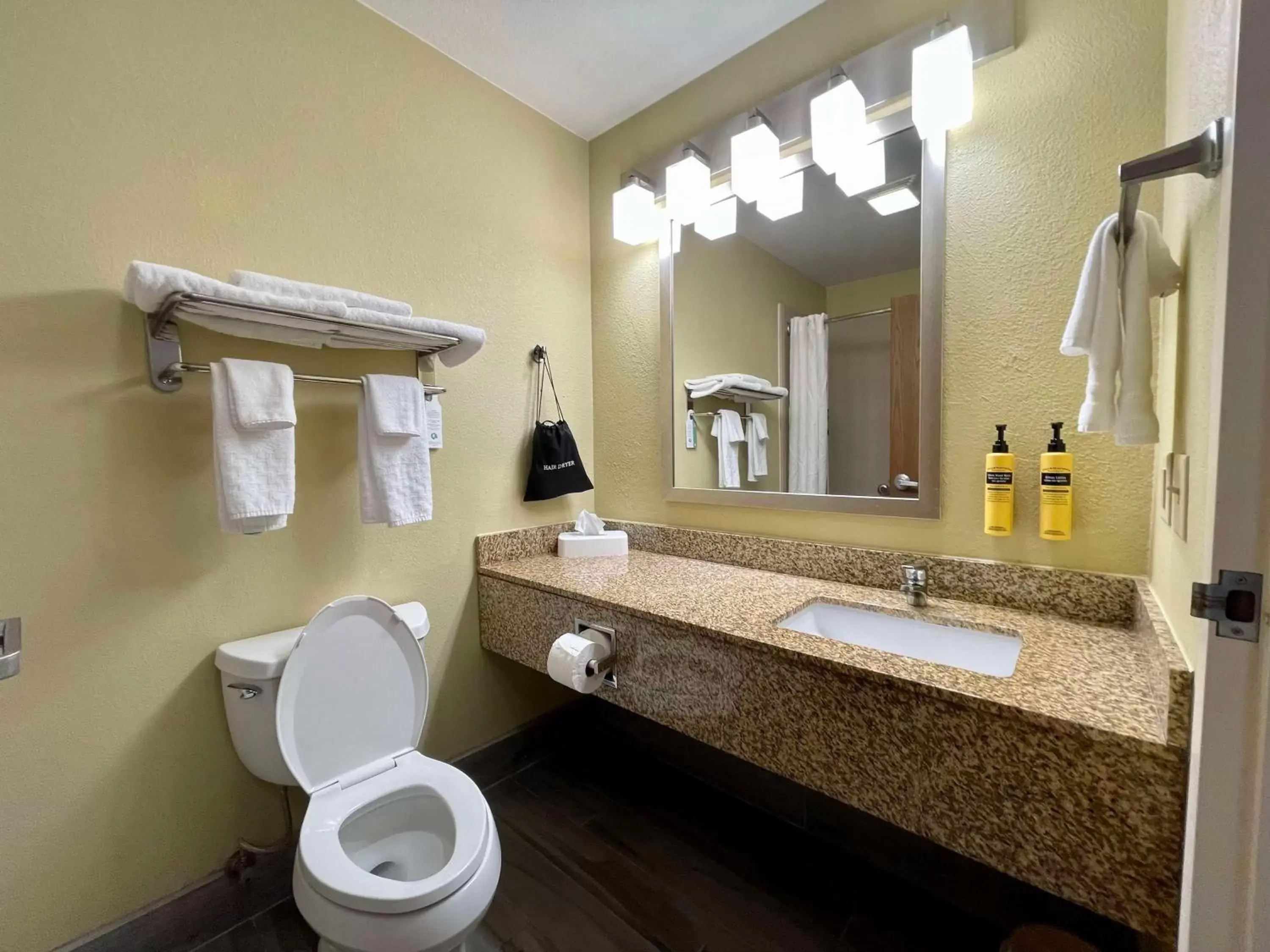 Bathroom in Best Western Plus Executive Hotel & Suites