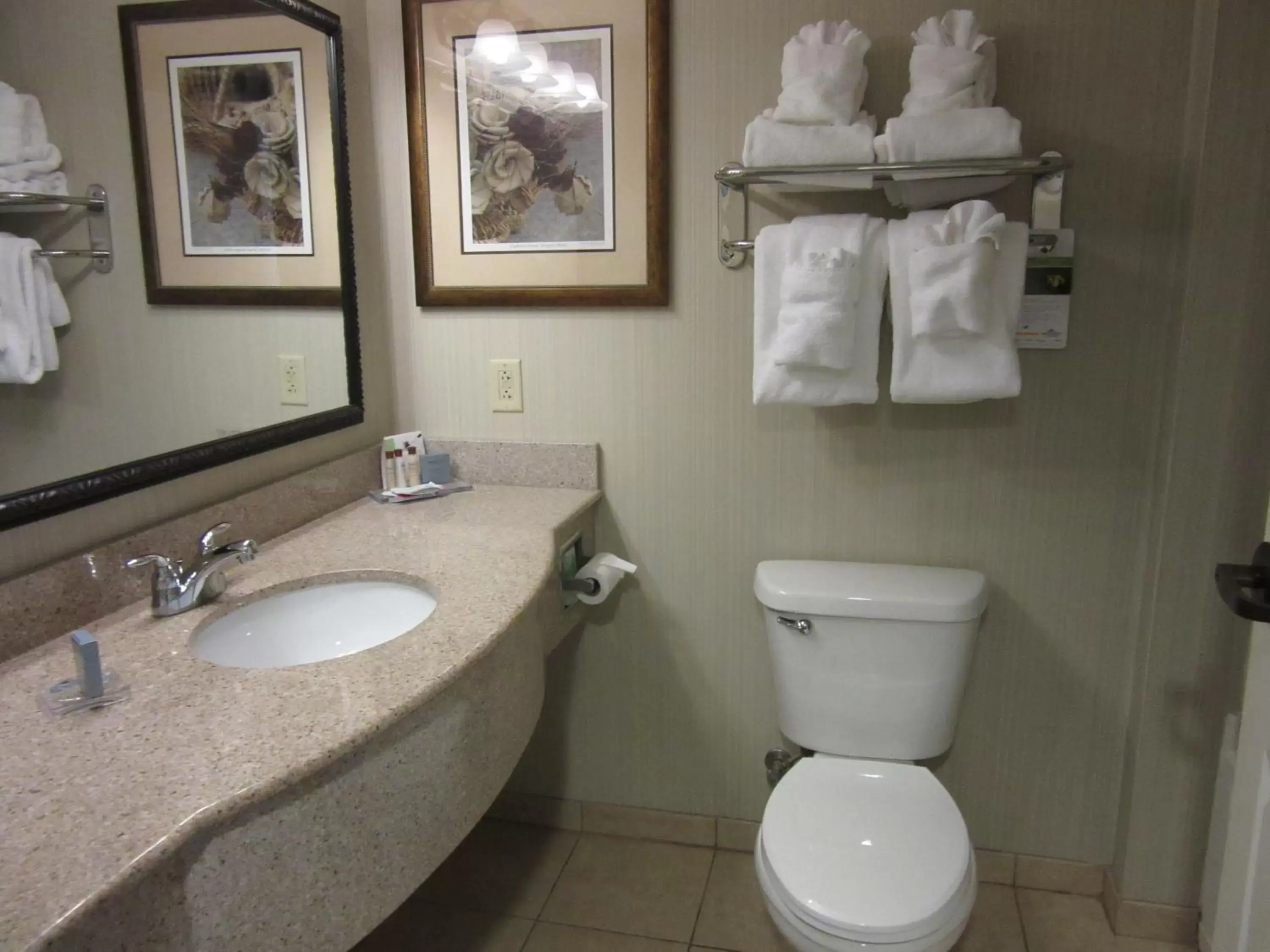 Bathroom in Wingate by Wyndham Charleston Southern University