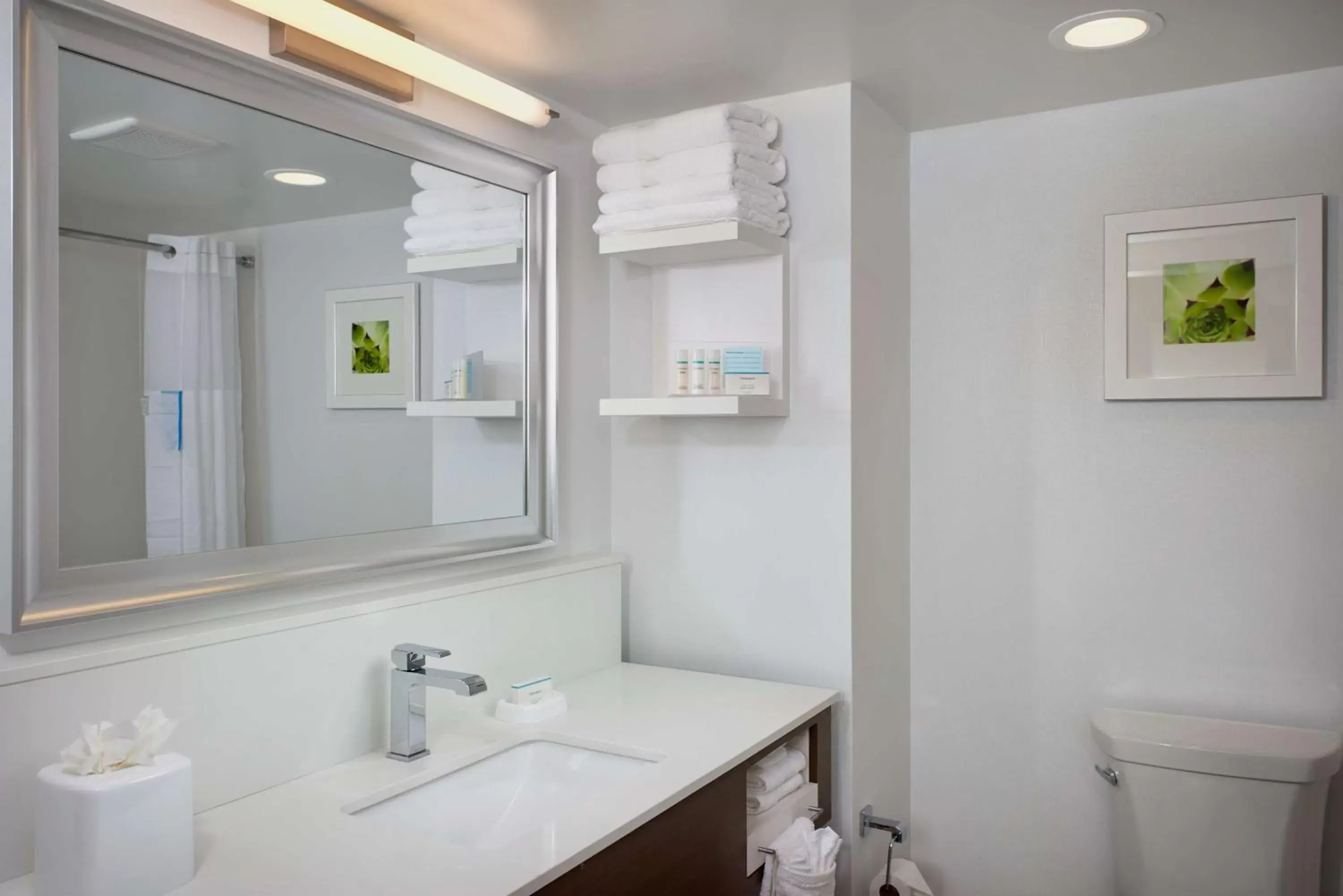 Bathroom in Hampton Inn & Suites Scottsdale On Shea Blvd