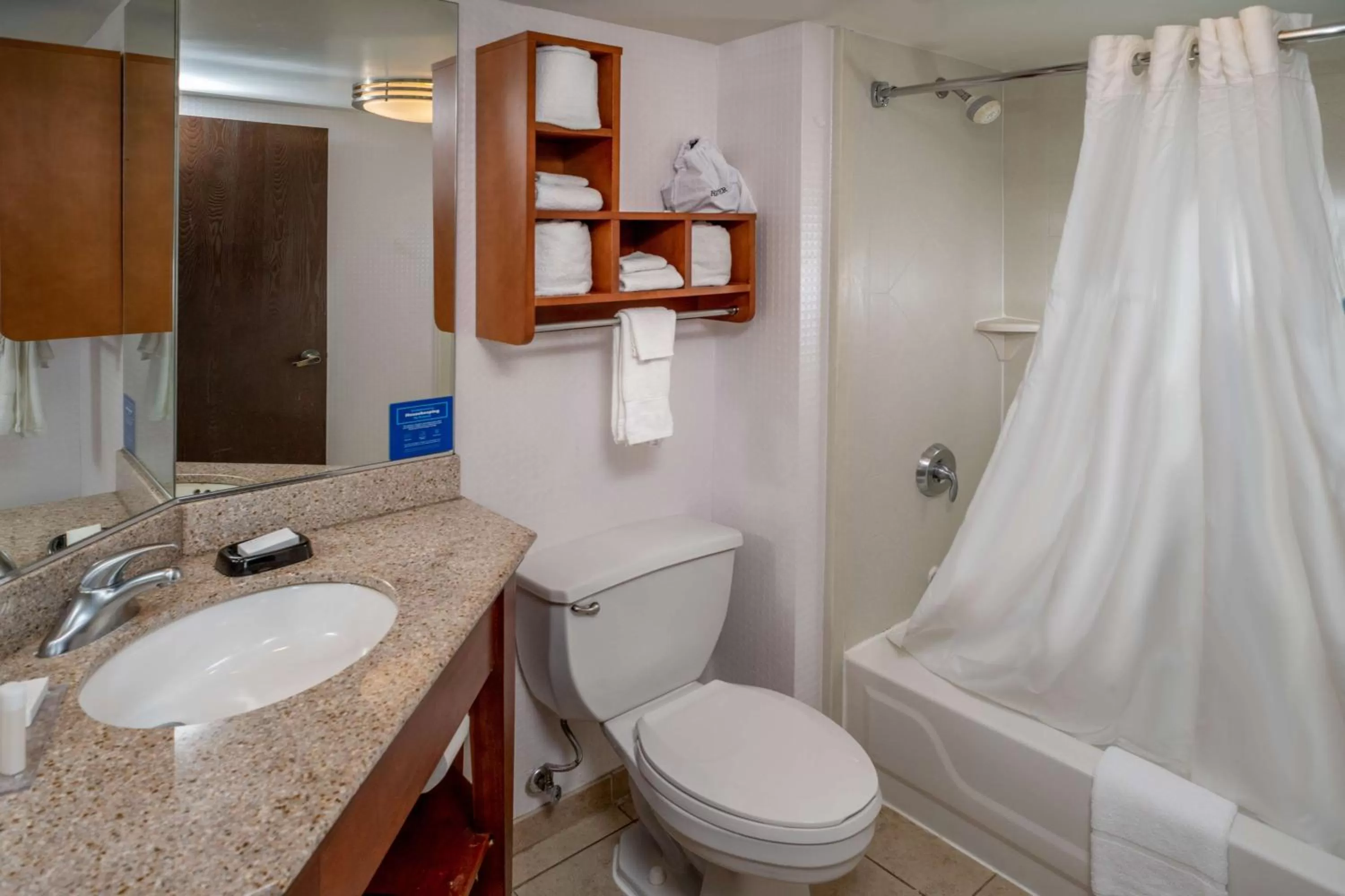 Bathroom in Hampton Inn Charleston Downtown