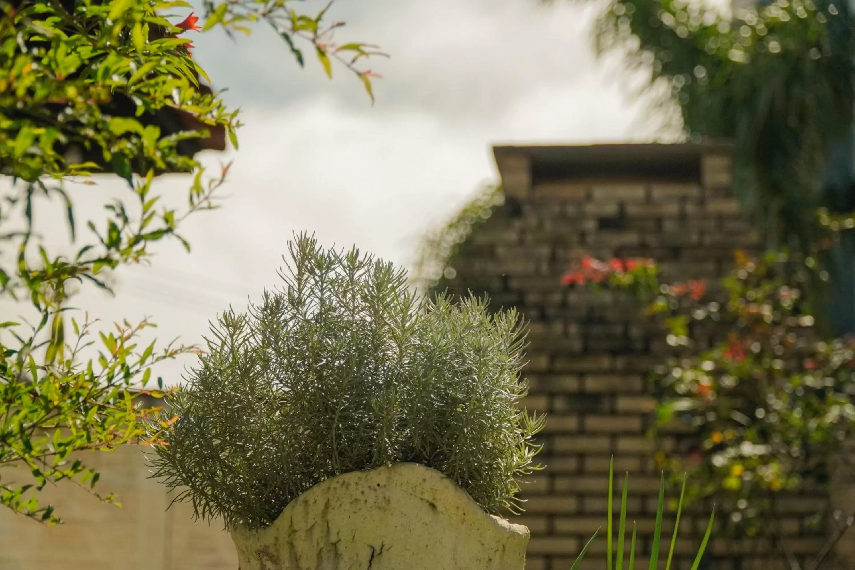 Garden in Pousada Dunasol Floripa