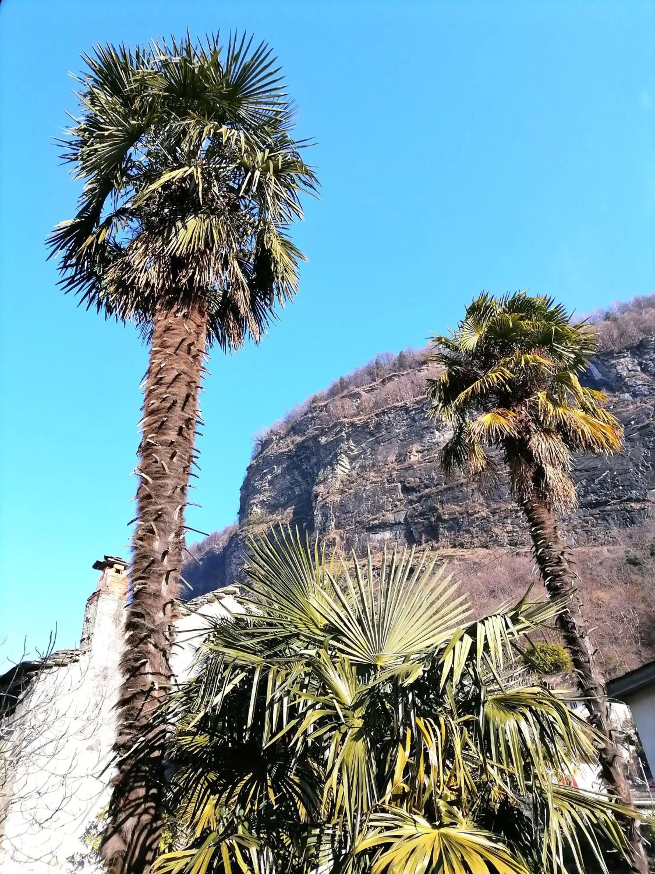 Mountain view in CASA BELGERI