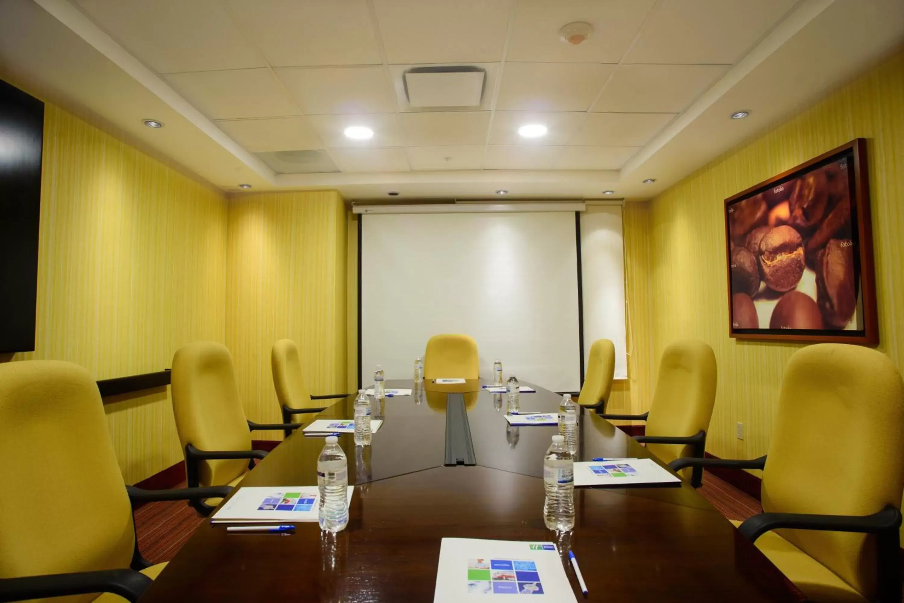 Meeting/conference room in Holiday Inn Express Tapachula, an IHG Hotel