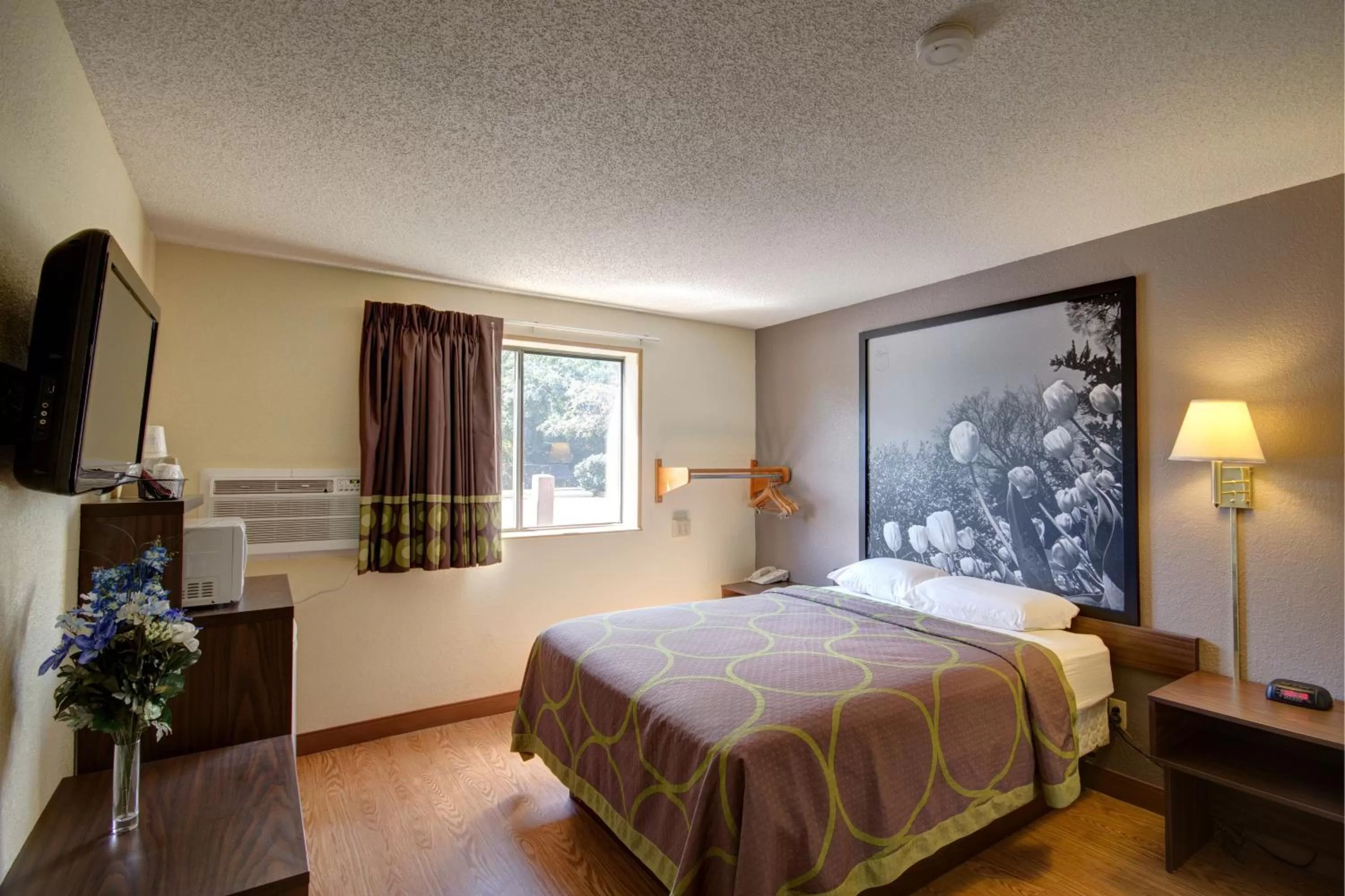 Day, Bed in Super 8 by Wyndham Zanesville