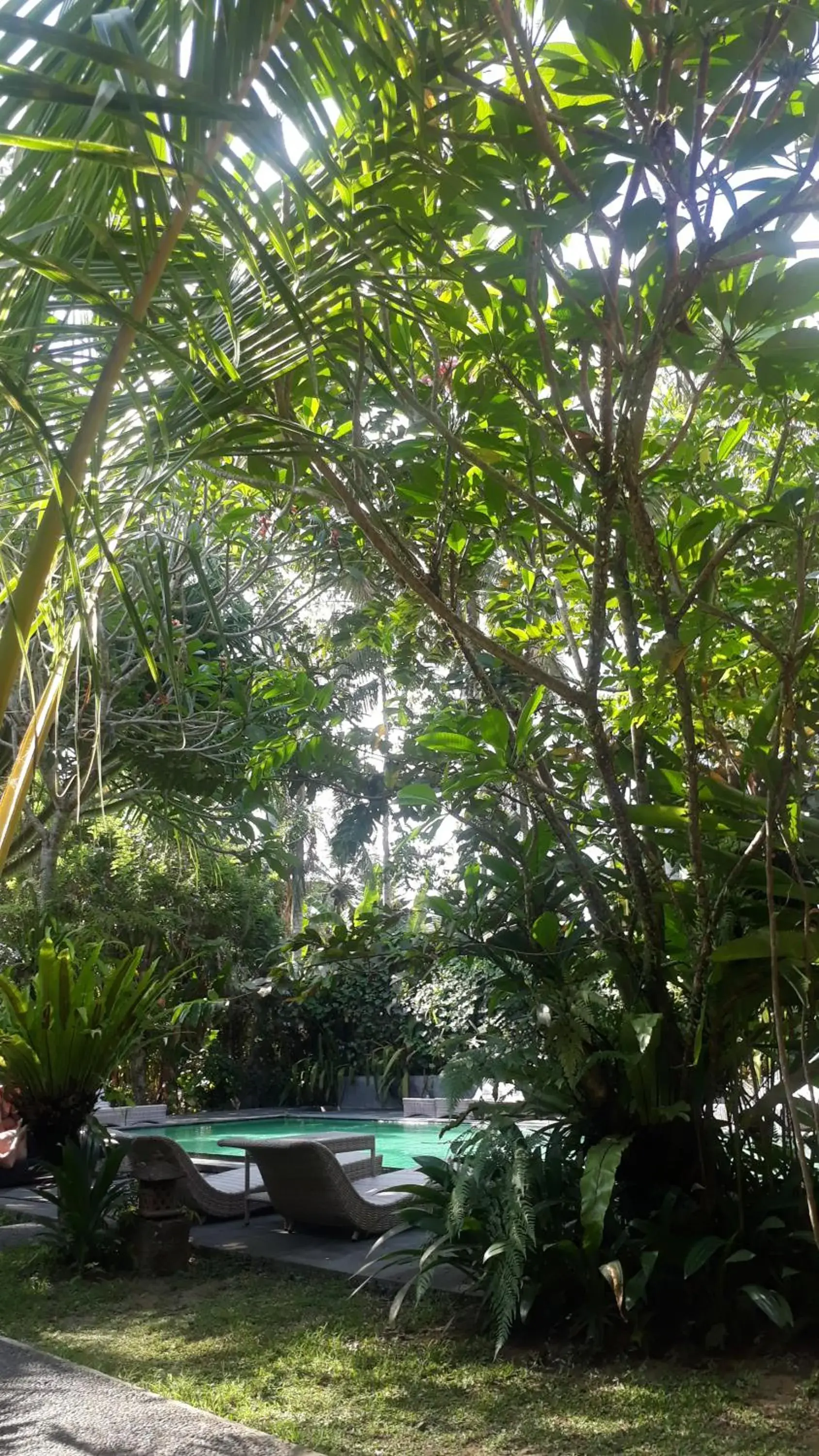 Garden view, Swimming Pool in Ubad Retreat, A Local Family Run Hotel