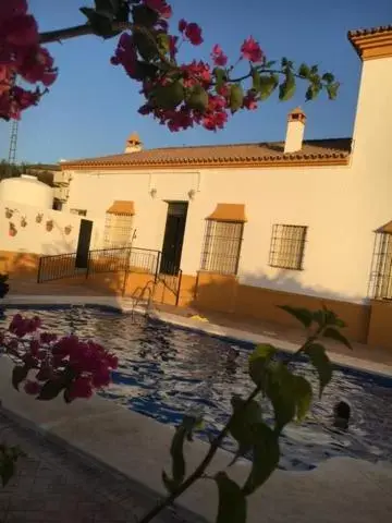 Swimming pool, Property Building in Hotel Andalou