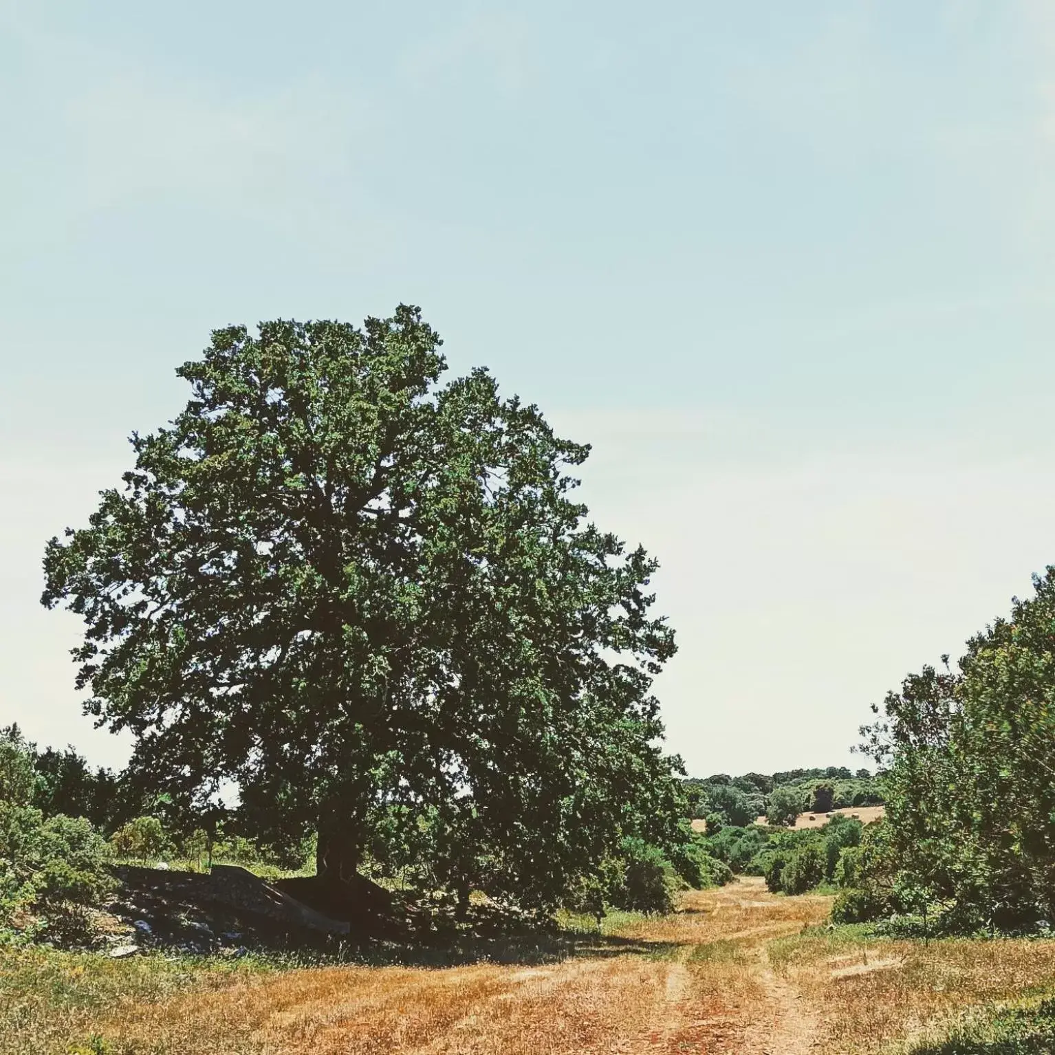 Natural landscape in Masseria LoJazzo