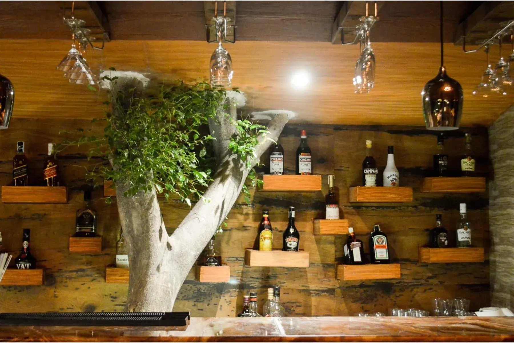 Restaurant/places to eat in The Lagoona Resort Restaurant/places to eat in The Lagoona Resort