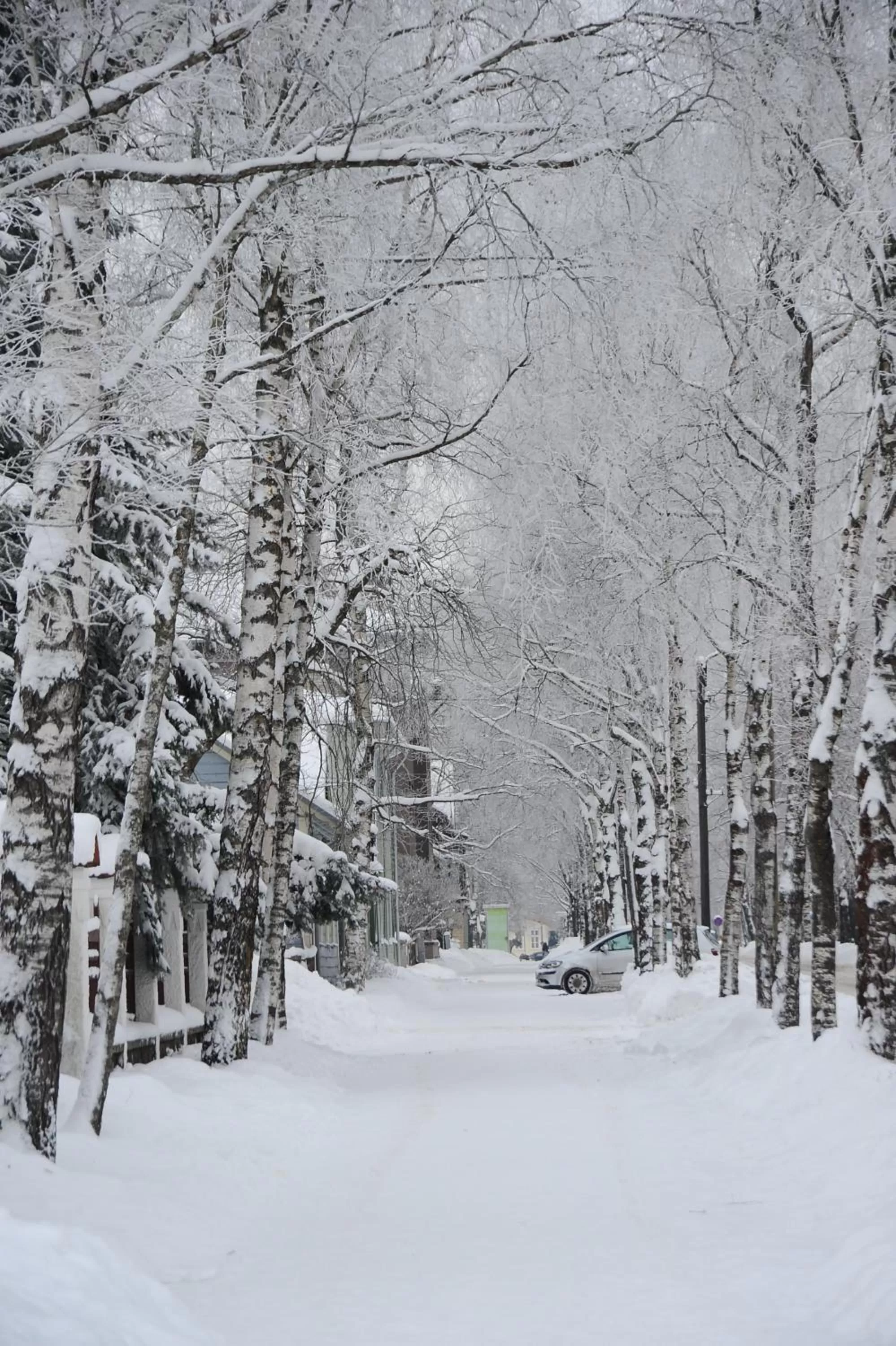 Winter in Hotel Villa Wesset