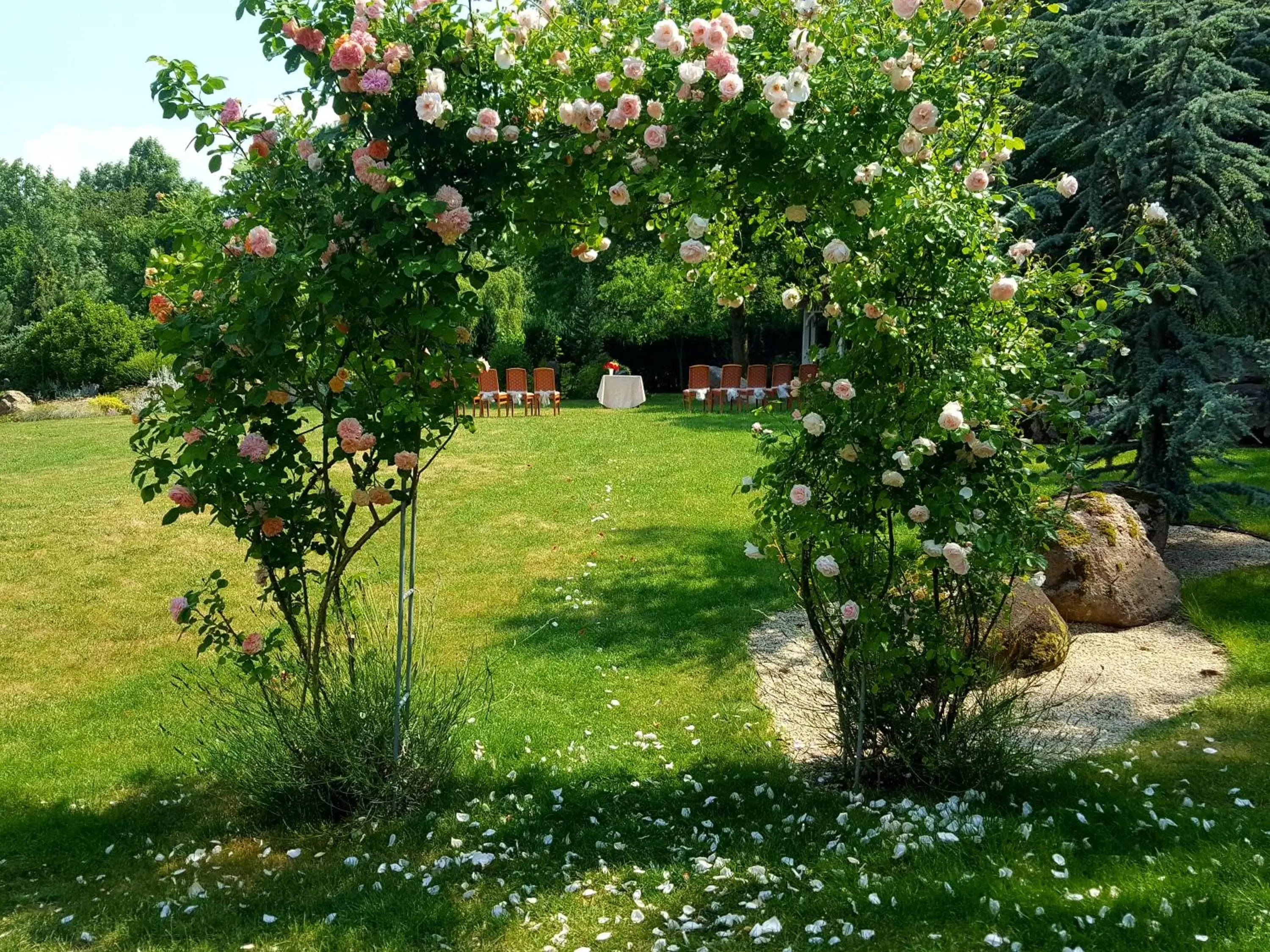 Garden in Hotel Nosal