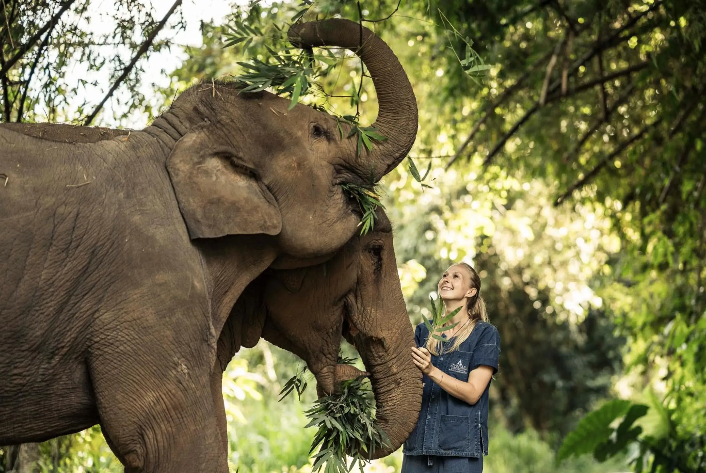 Garden, Other Animals in Anantara Golden Triangle Elephant Camp & Resort