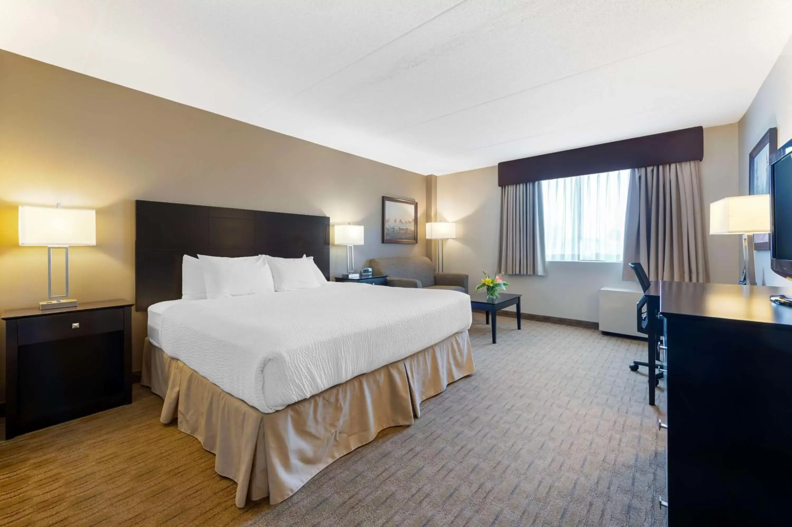 Bedroom, Bed in Best Western Pembroke Inn & Conference Centre