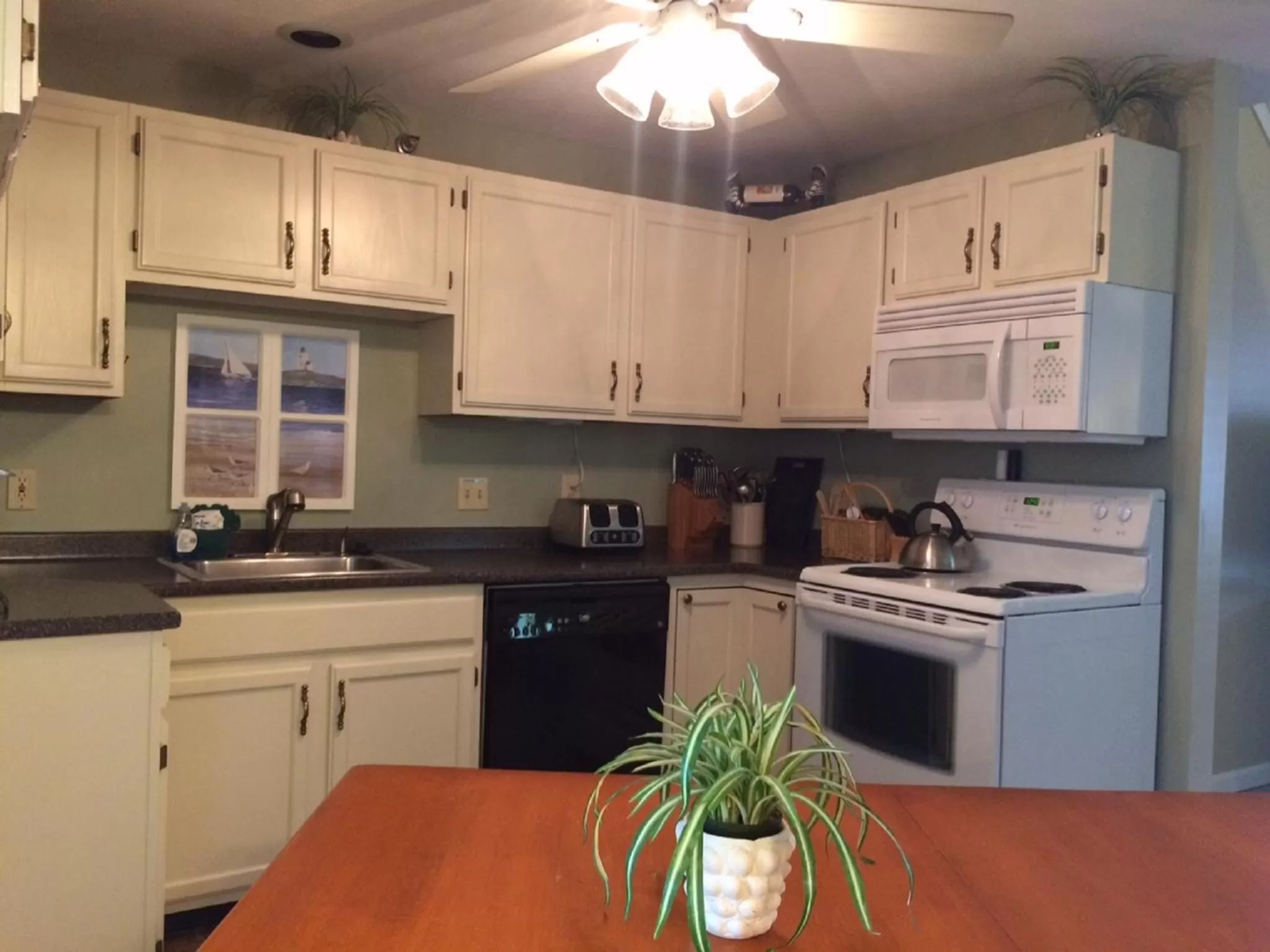 Kitchen or kitchenette, Kitchen/Kitchenette in Elmwood Resort Hotel