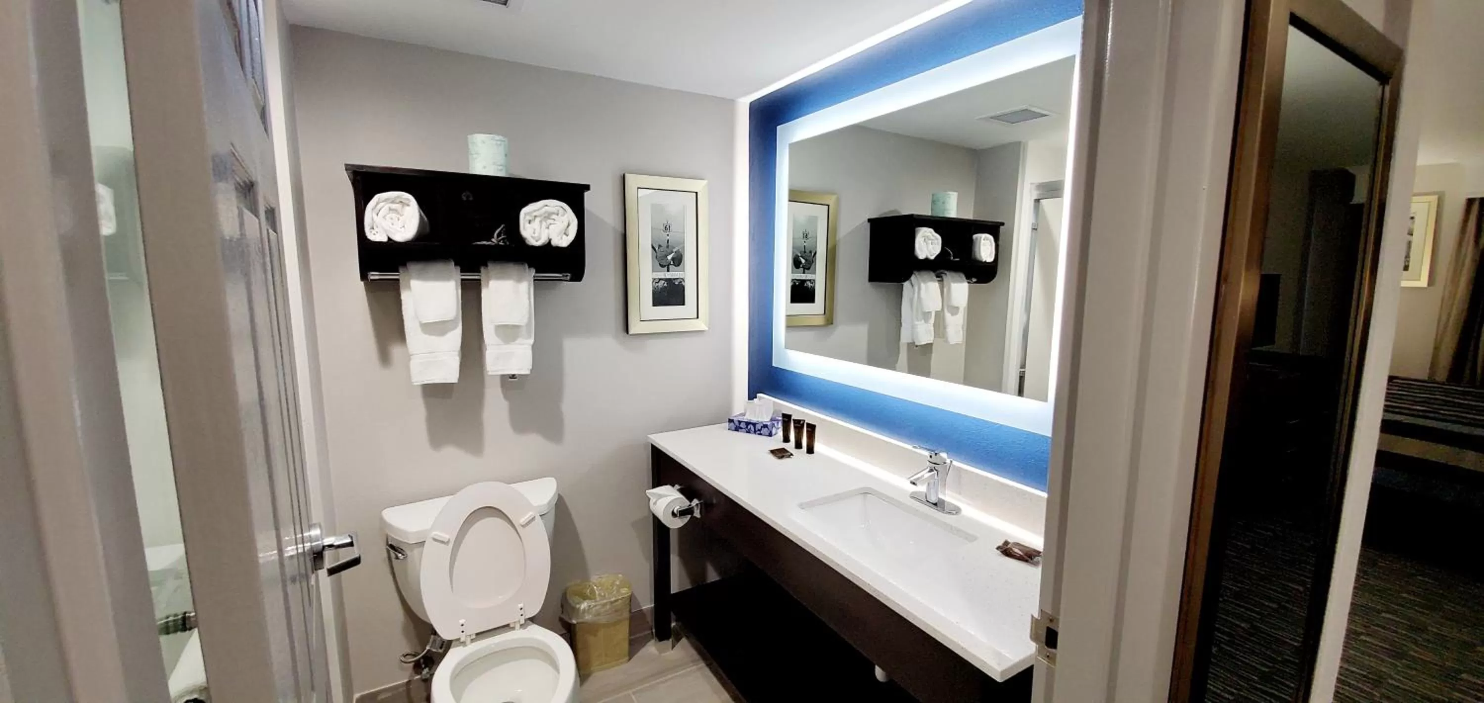 Bathroom in Wingate by Wyndham Tupelo