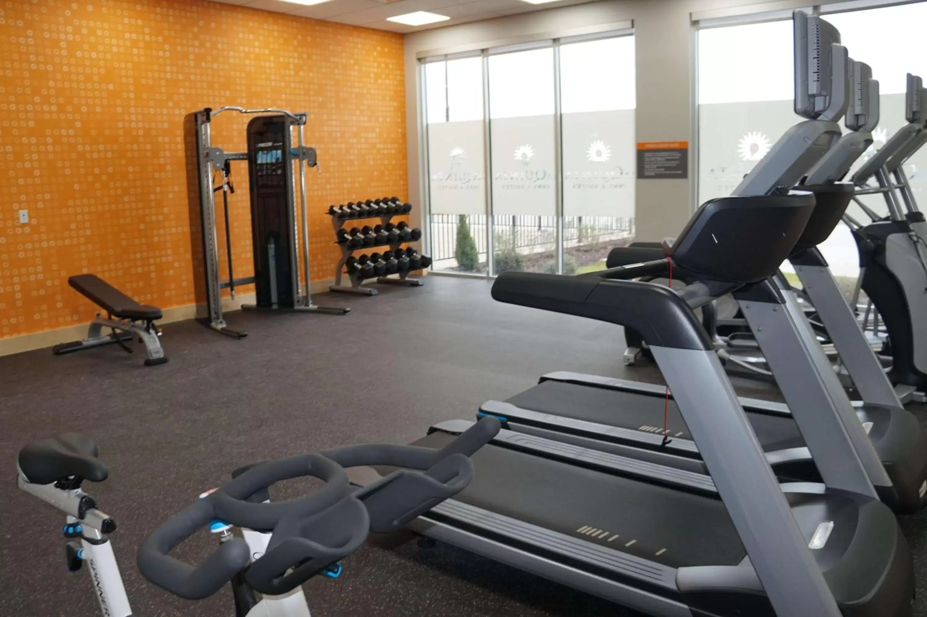 Fitness centre/facilities, Fitness Center/Facilities in La Quinta Inn & Suites by Wyndham Lewisville