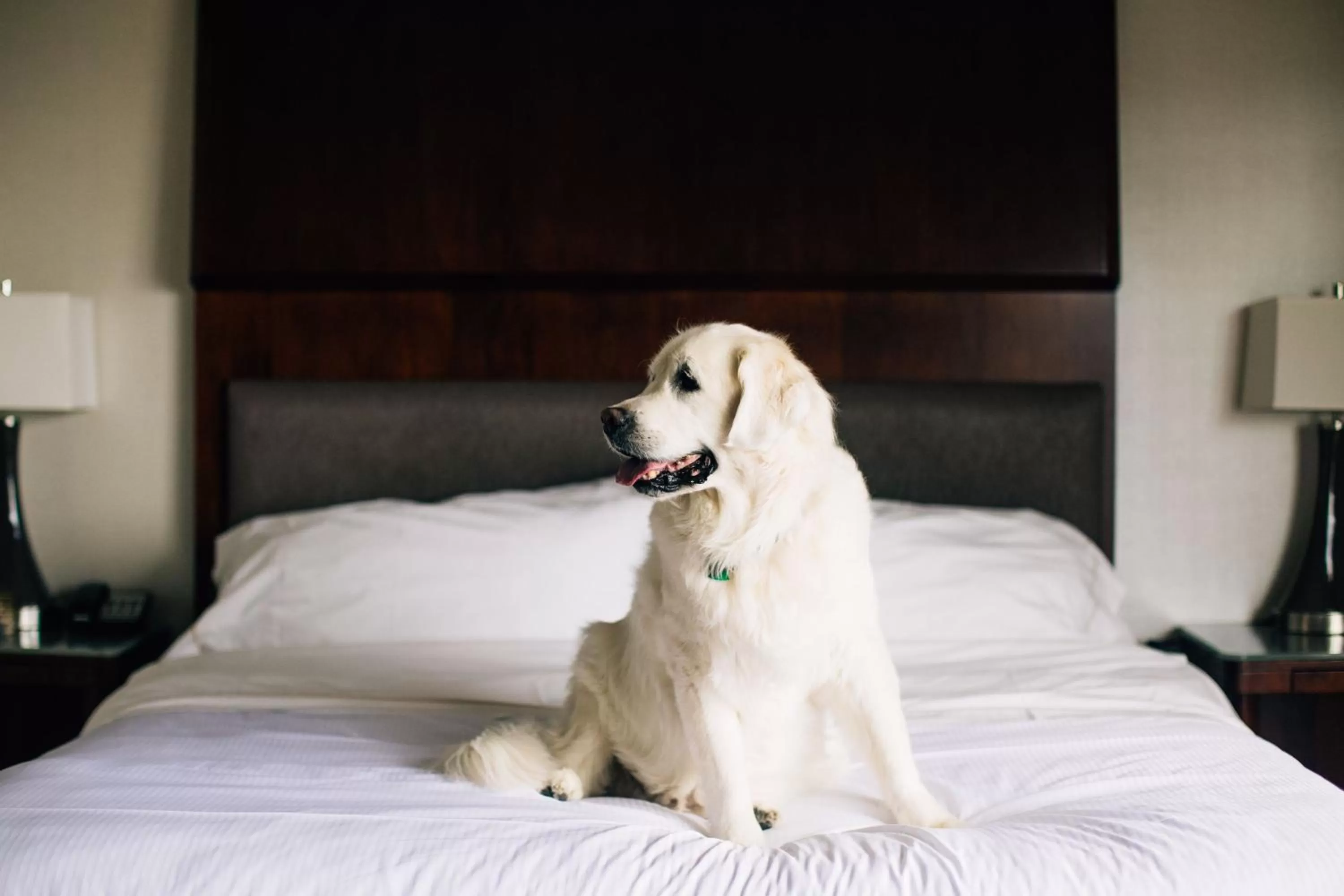 Other in The Westin Seattle