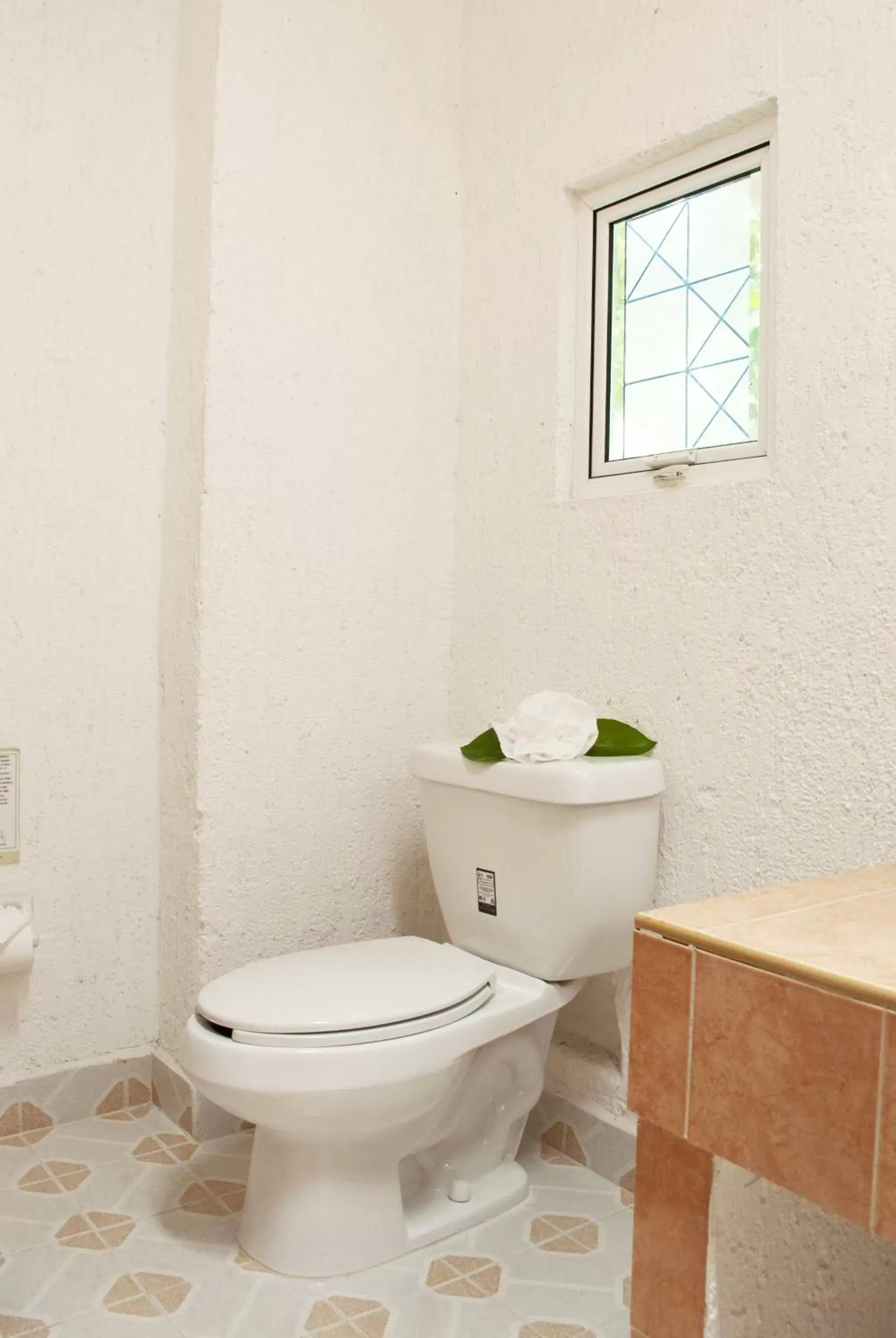 Toilet, Bathroom in Eco-hotel El Rey del Caribe