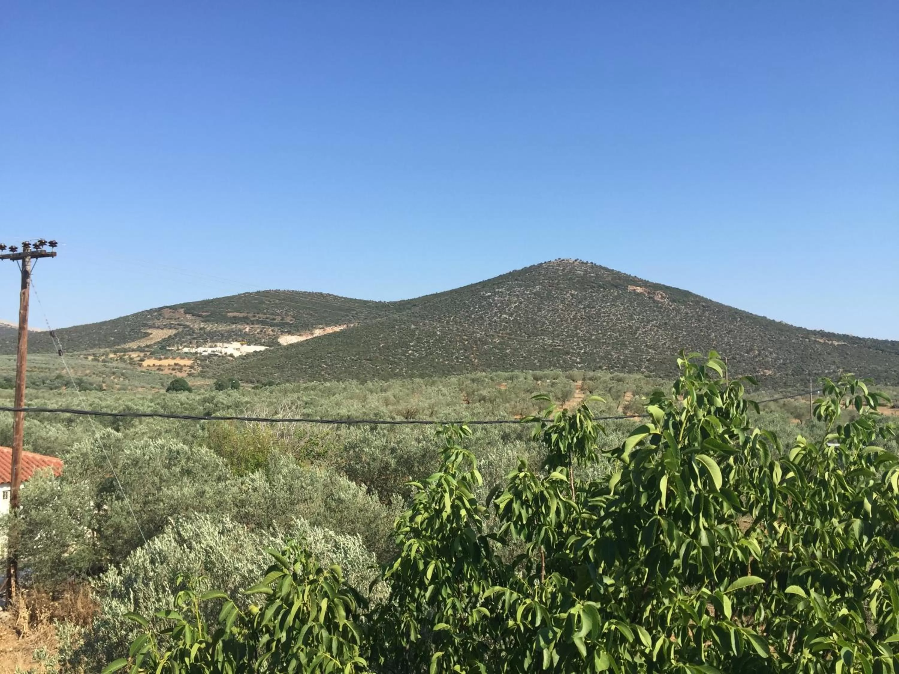 Natural landscape in Hani Inn