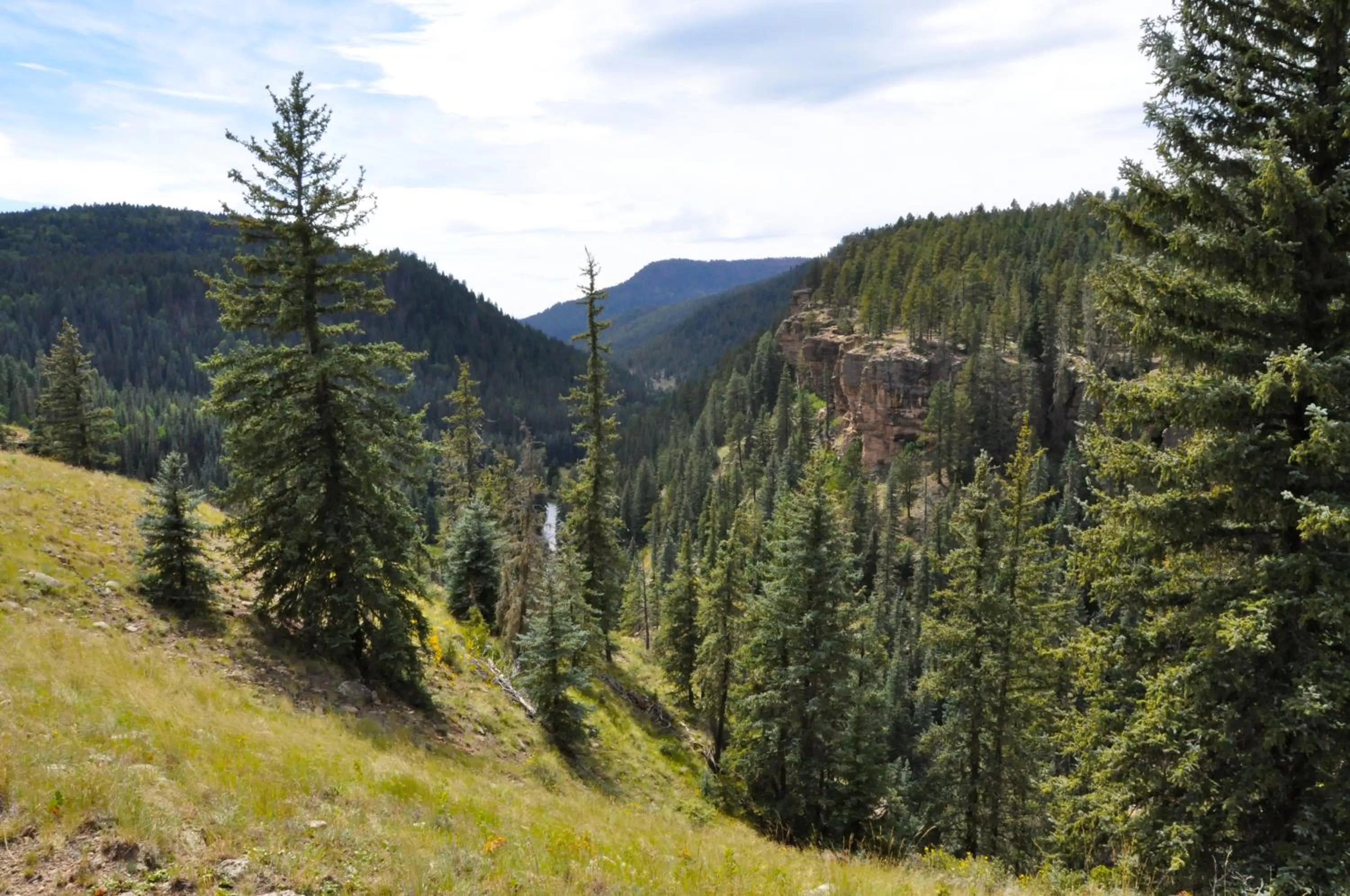 Mountain view in Alpine Inn