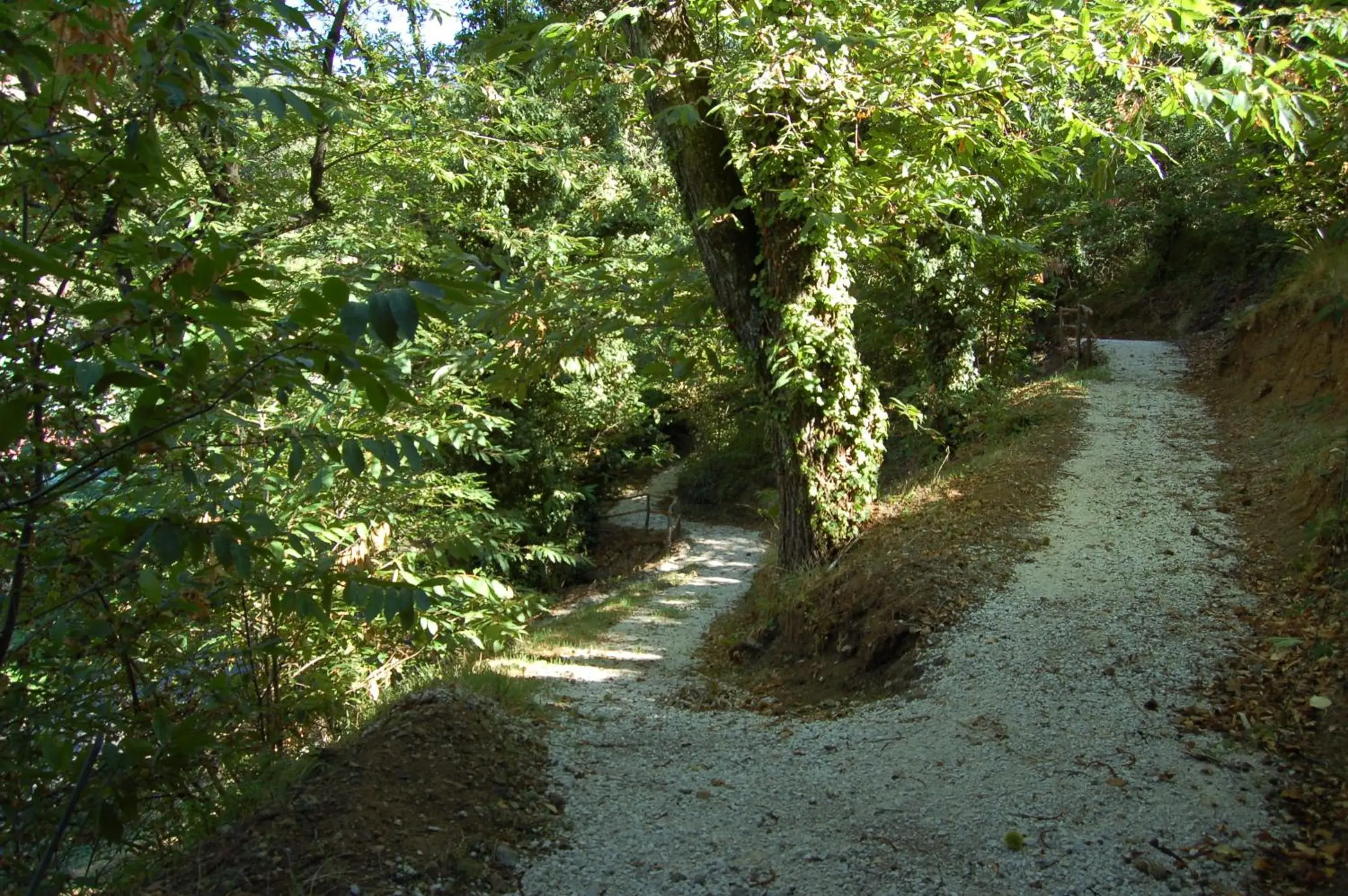 Garden in Balletti Park Hotel