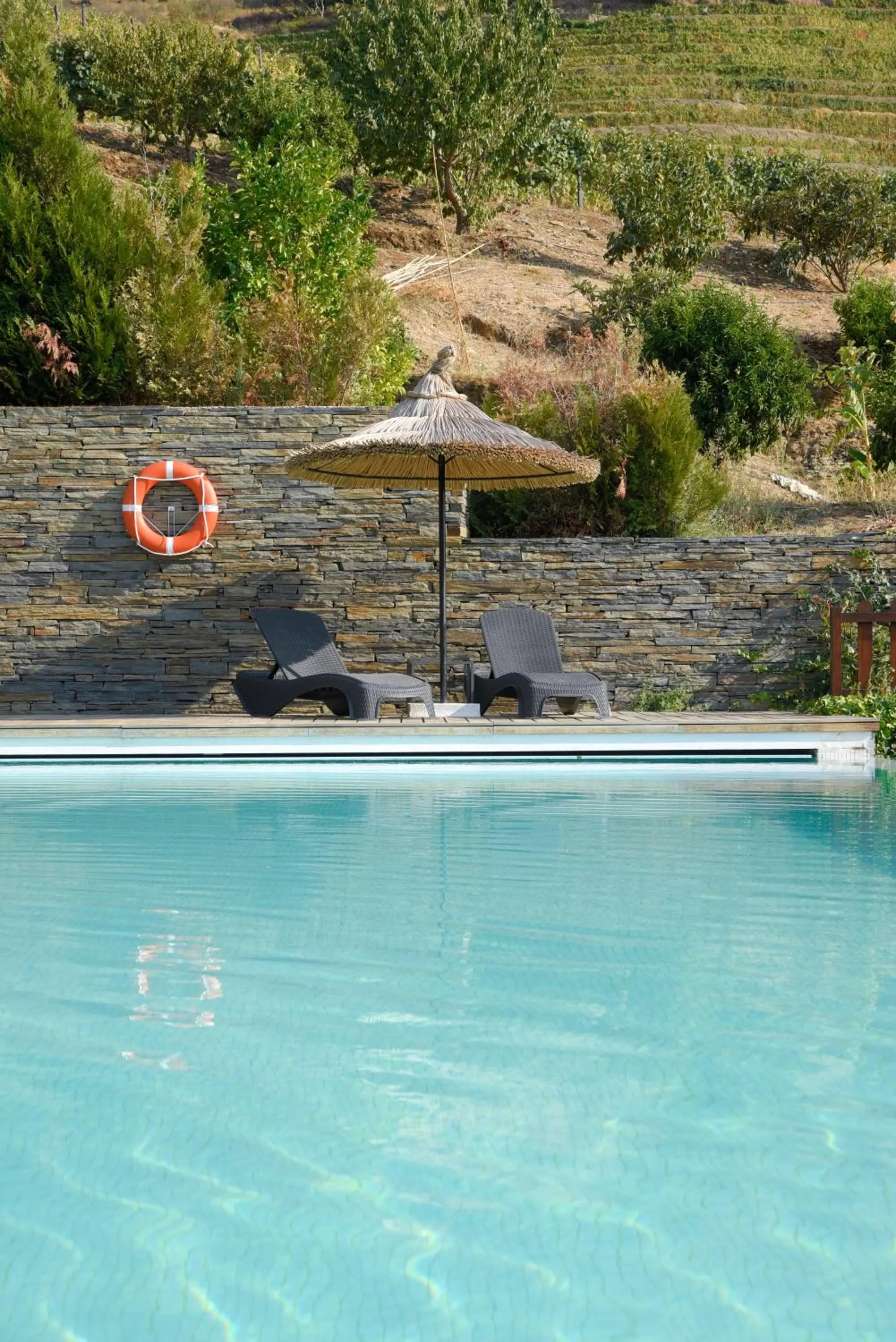 Swimming pool in Hotel Rural Quinta Do Pego