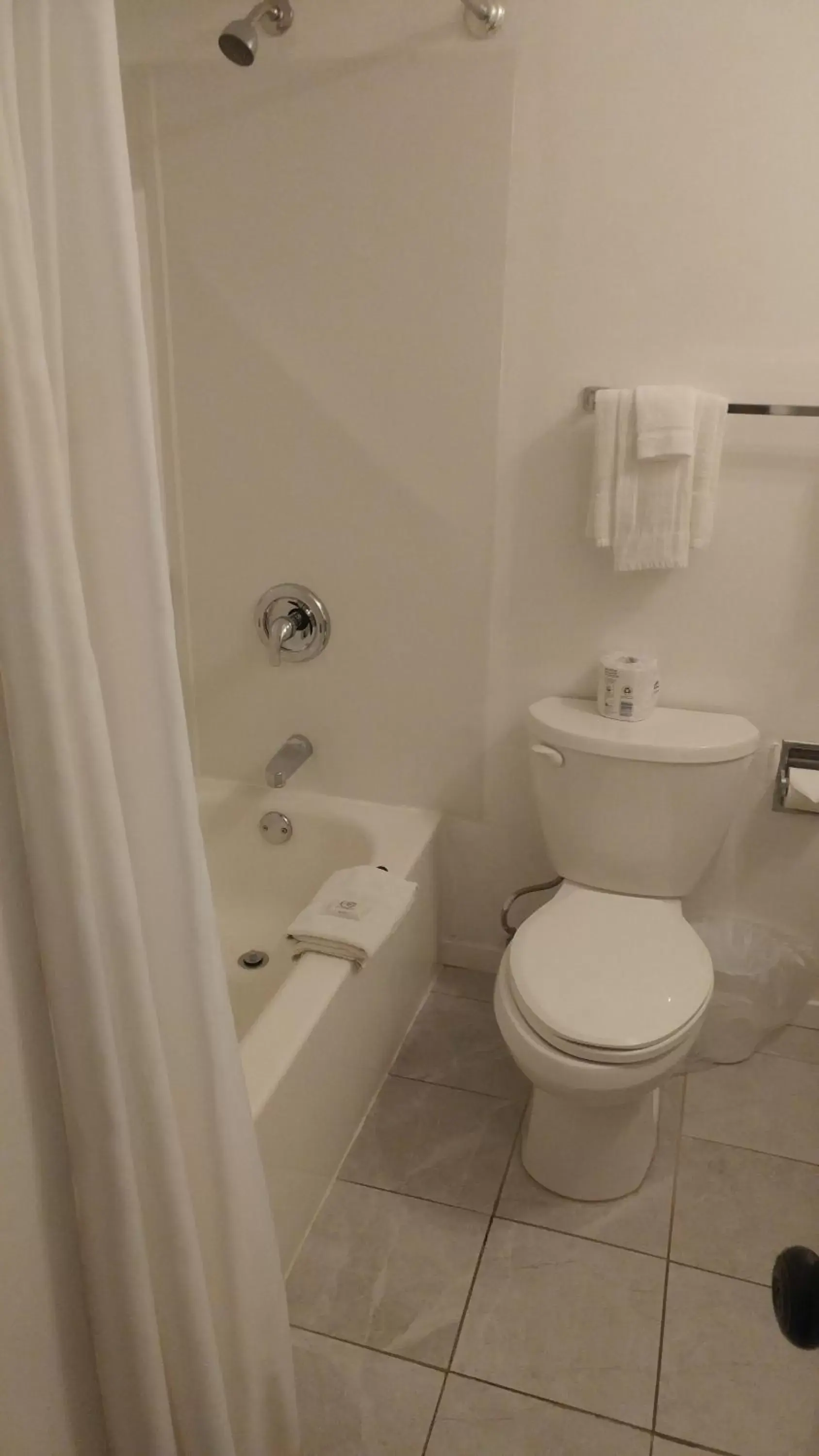 Toilet, Bathroom in Big Rock Motel