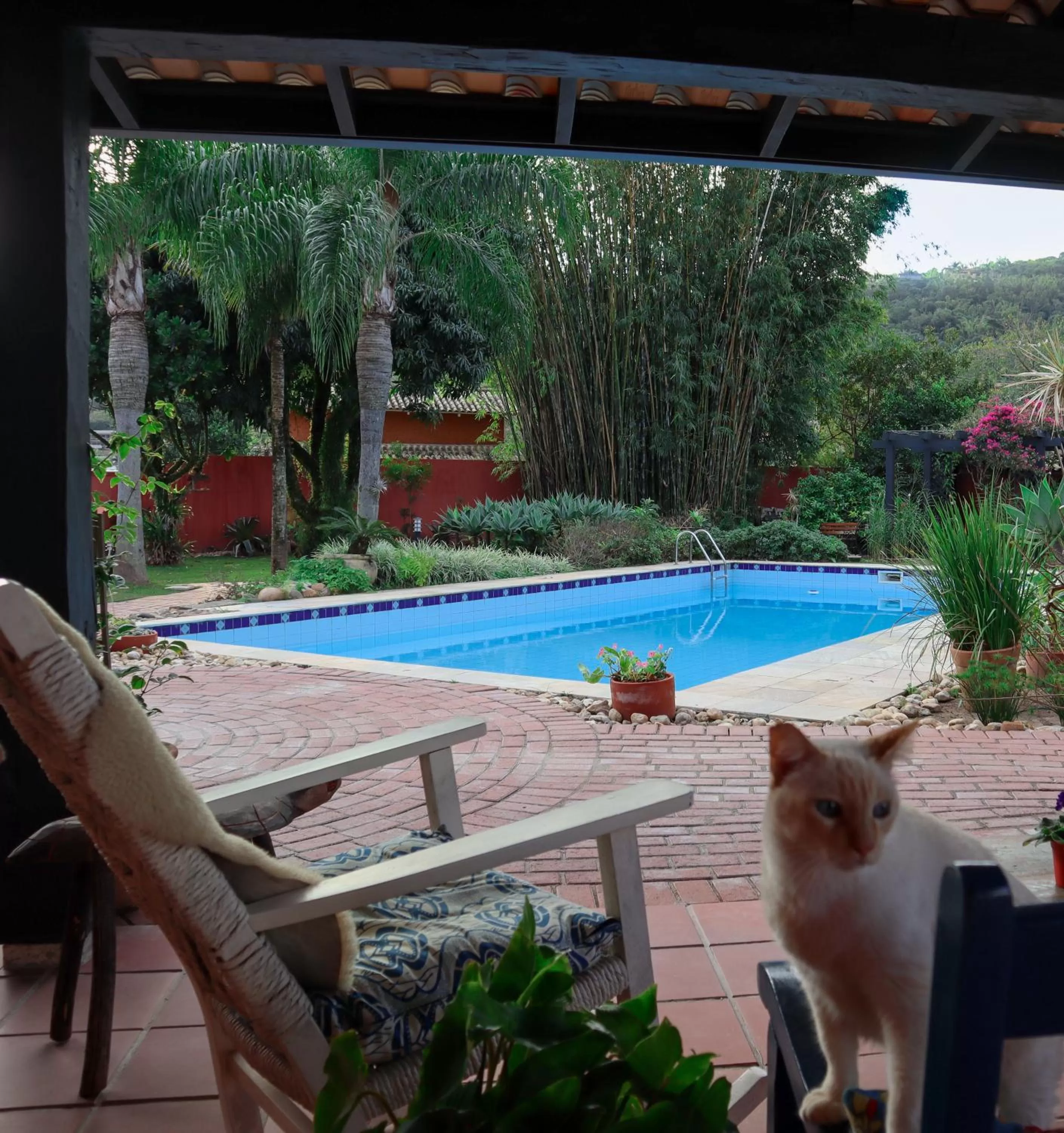 Garden in Janela de Marcia Bed and Breakfast