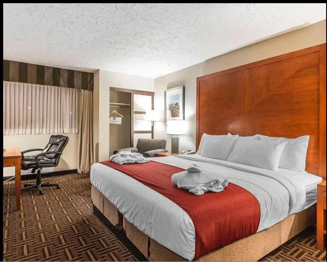 Living room, Bed in Wyndham Garden Medicine Hat Conference Center