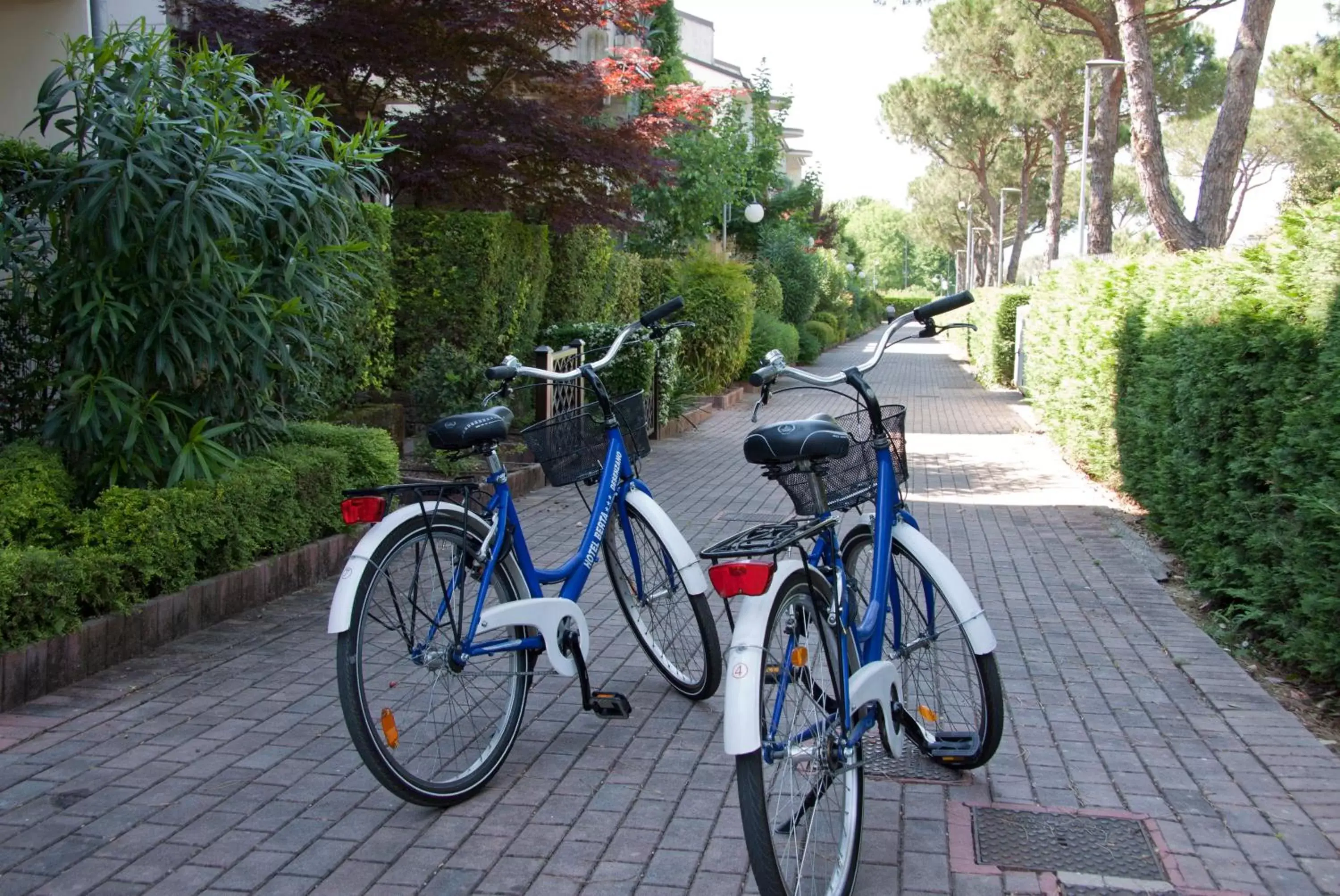 Activities, Biking in Lauri & Faggi
