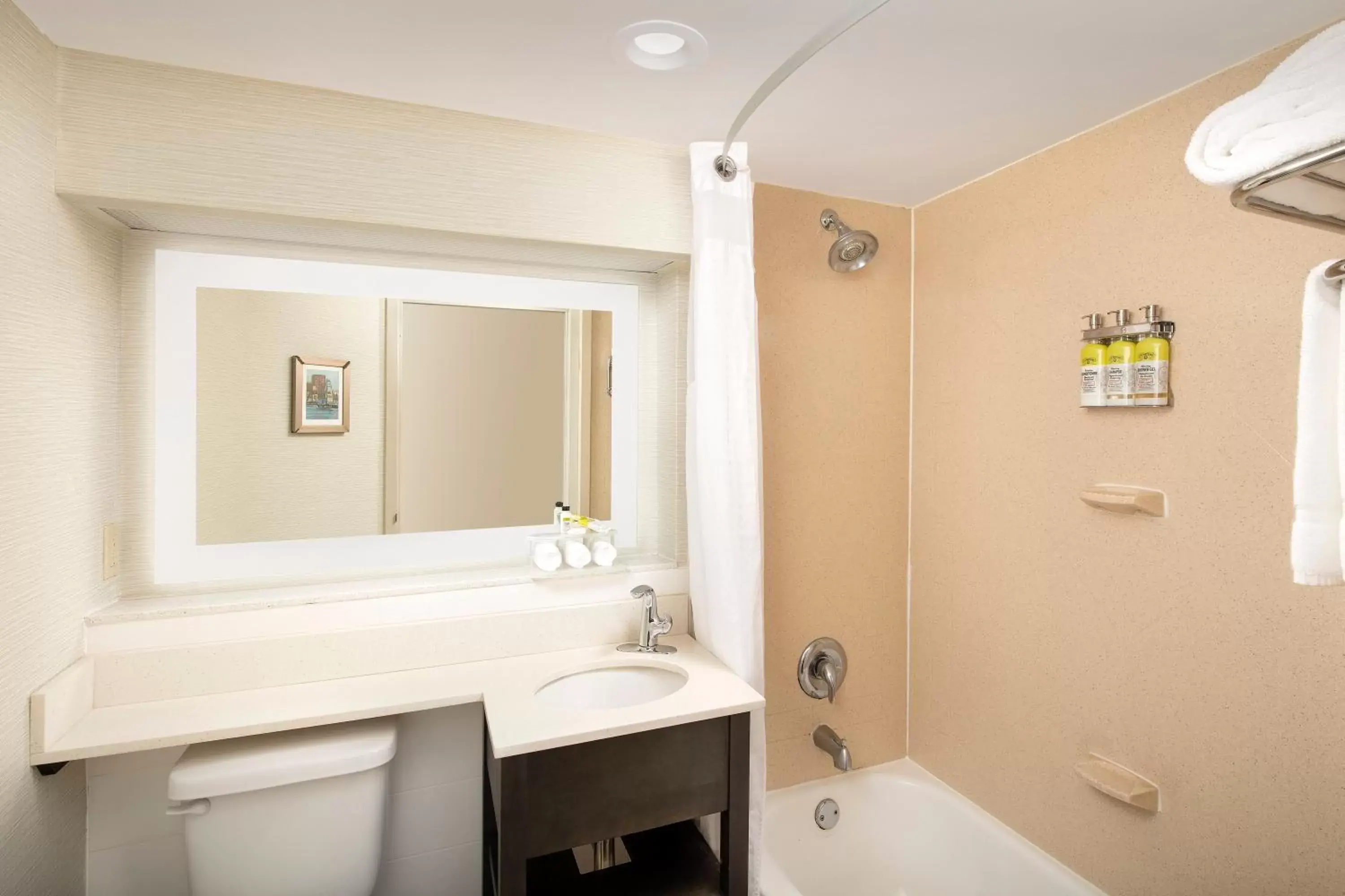 Bathroom in Holiday Inn Express Hotel & Suites Annapolis, an IHG Hotel