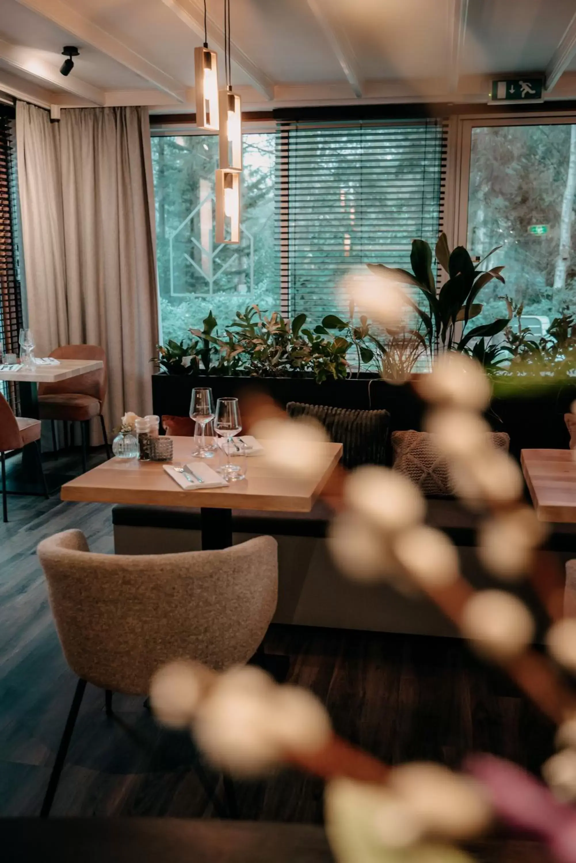 Restaurant/places to eat in Witte Berken Natuurhotel