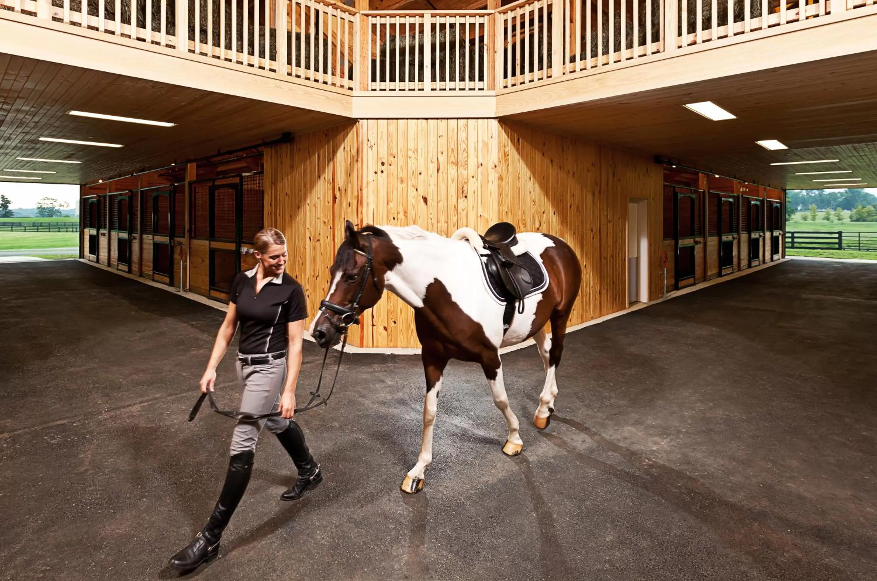 Horse-riding in Salamander Resort and Spa