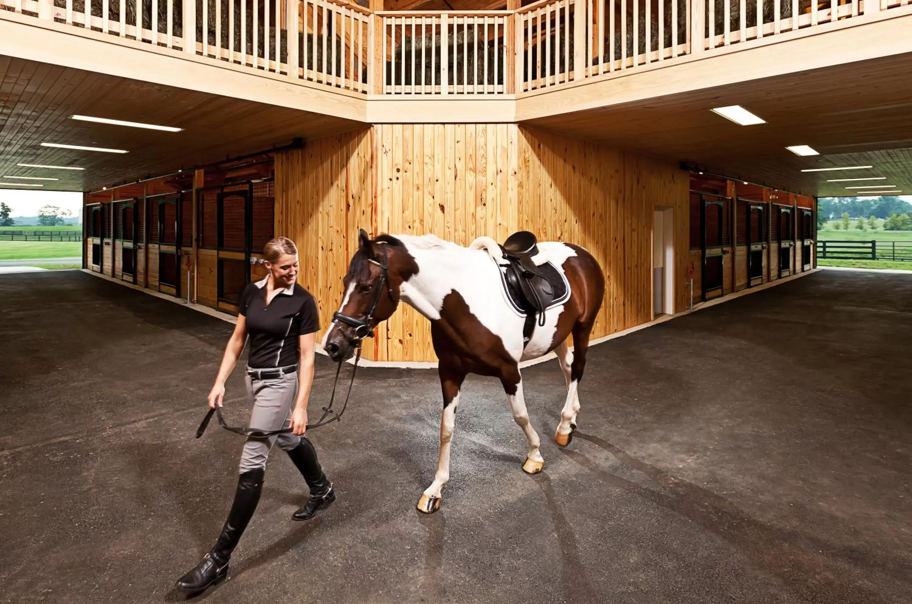 Horse-riding in Salamander Resort and Spa