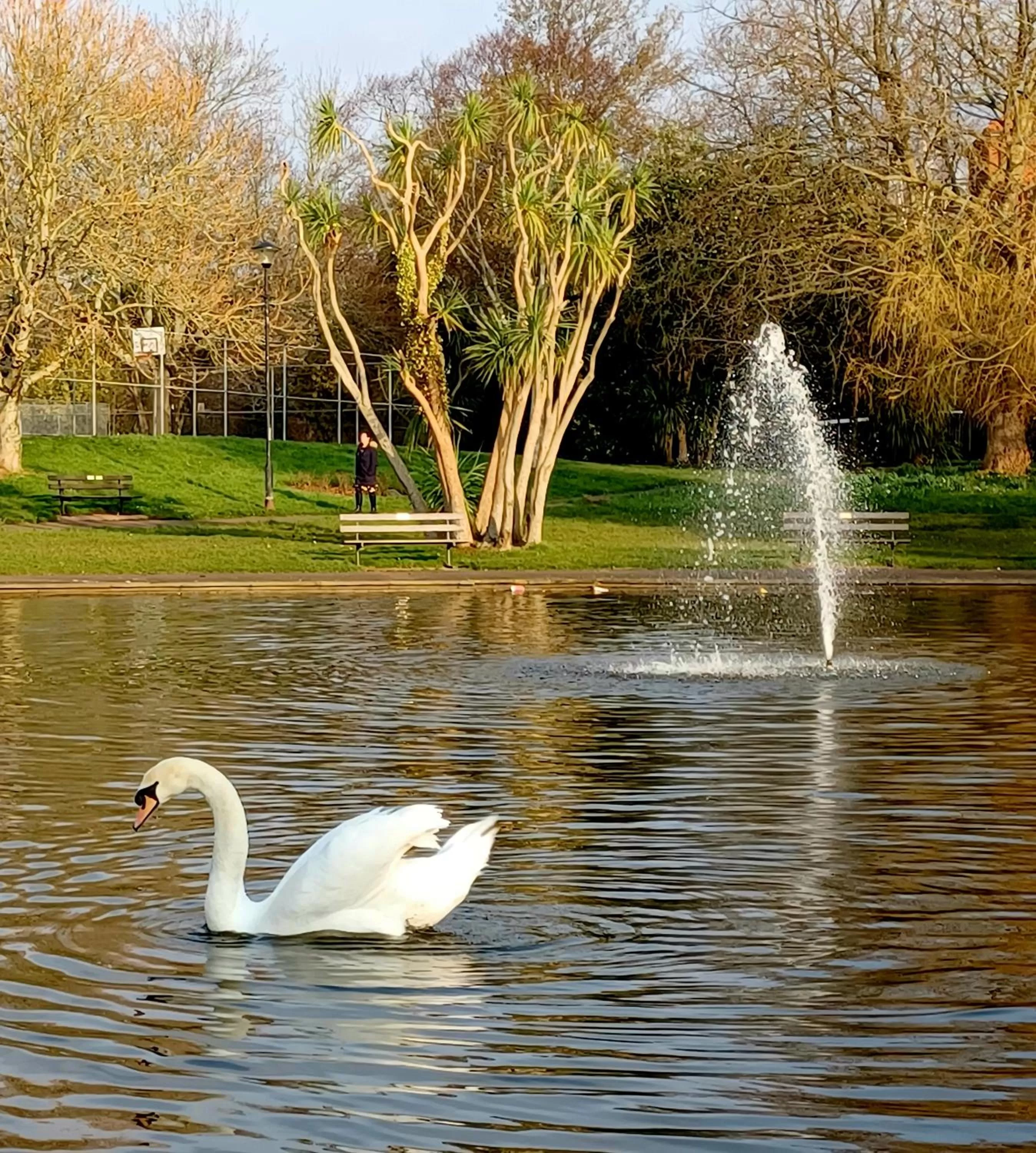 Other Animals in Belle Dene Guest House