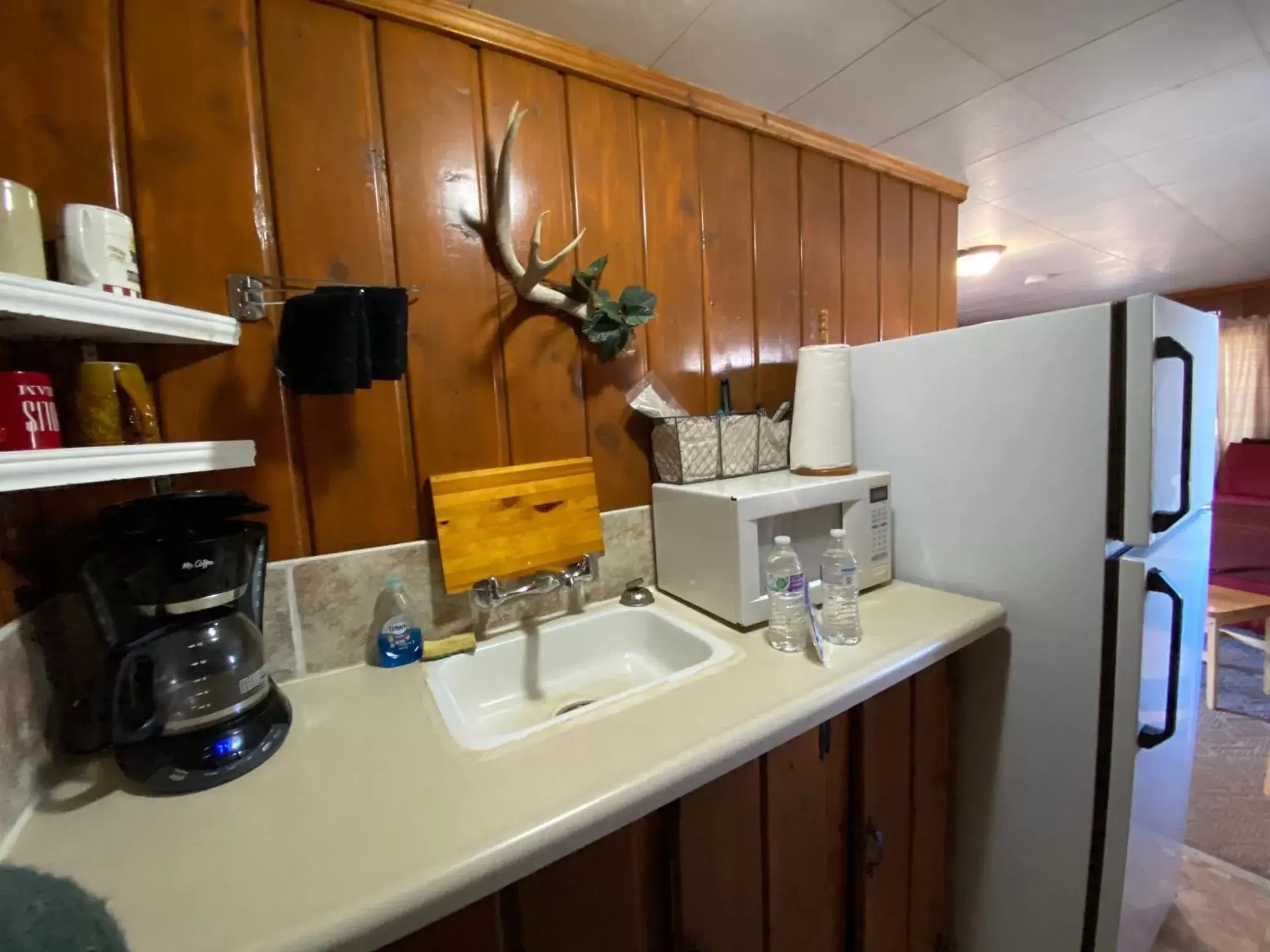 Kitchen/Kitchenette in Roundtop Mountain Vista - Cabins and Motel