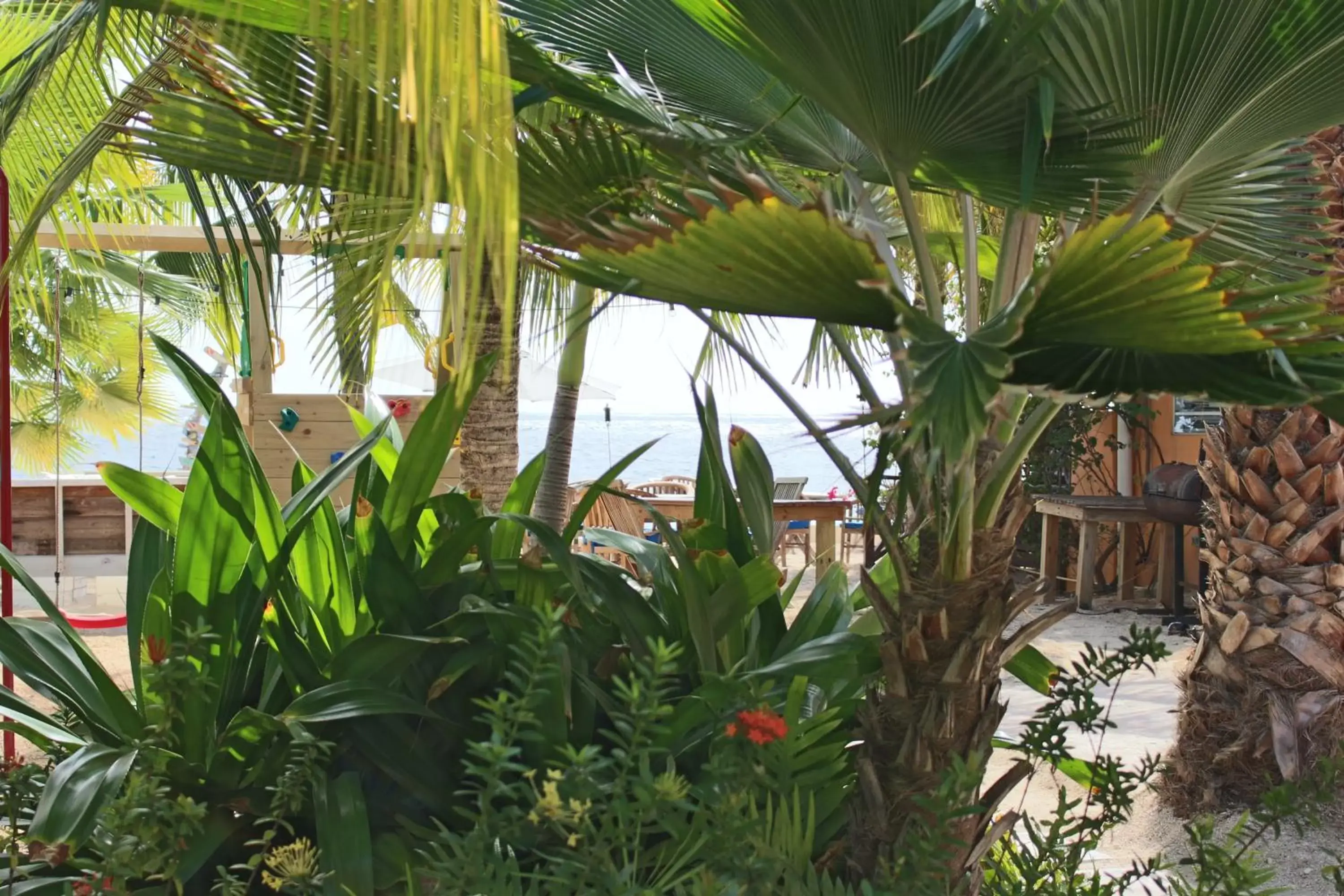 Children play ground in Scuba Lodge & Suites