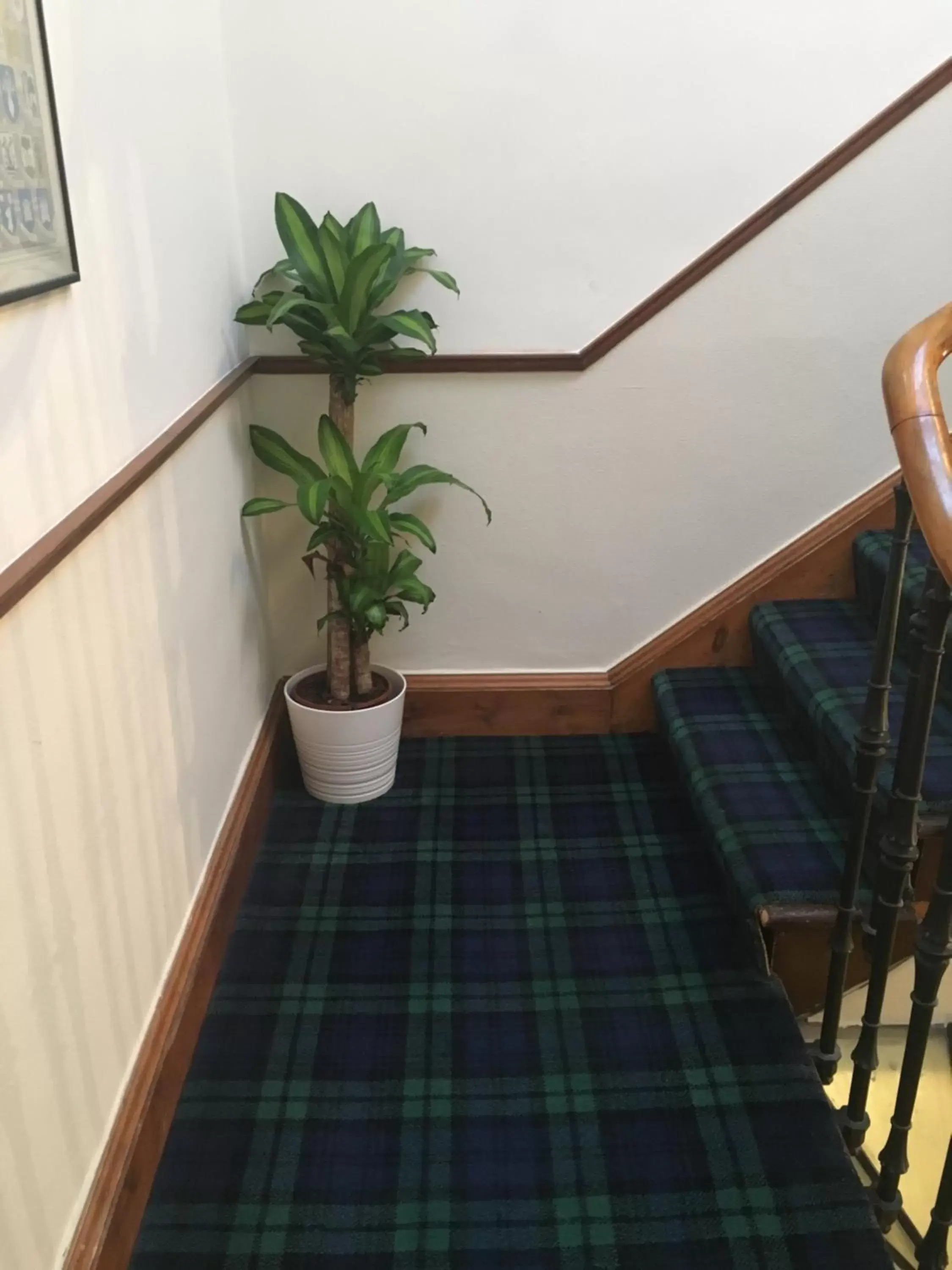 Lobby or reception in Airdenair Guest House Lobby or reception in Airdenair Guest House