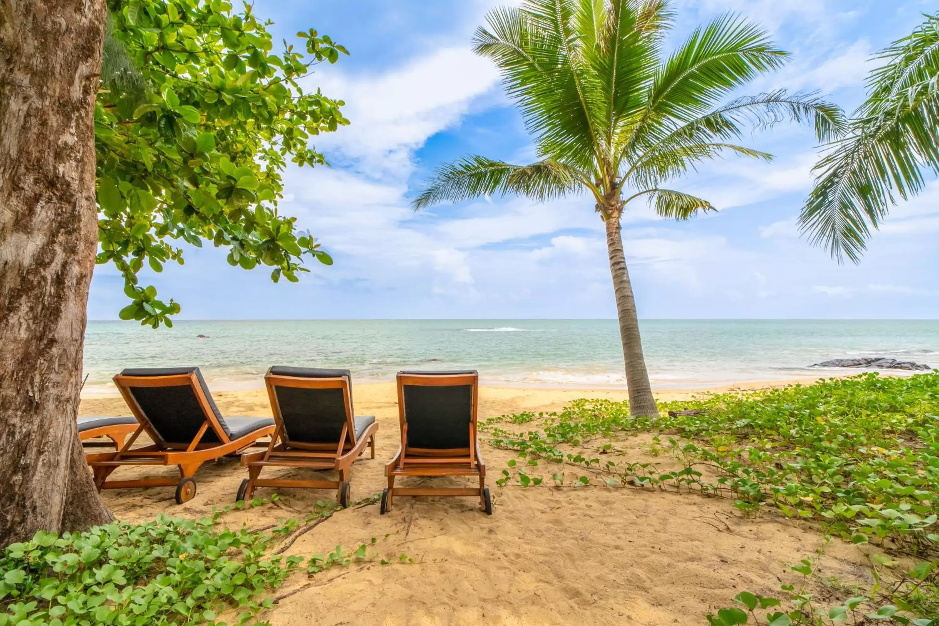 Sea view, Beach in TUI BLUE Khao Lak Resort - SHA Plus