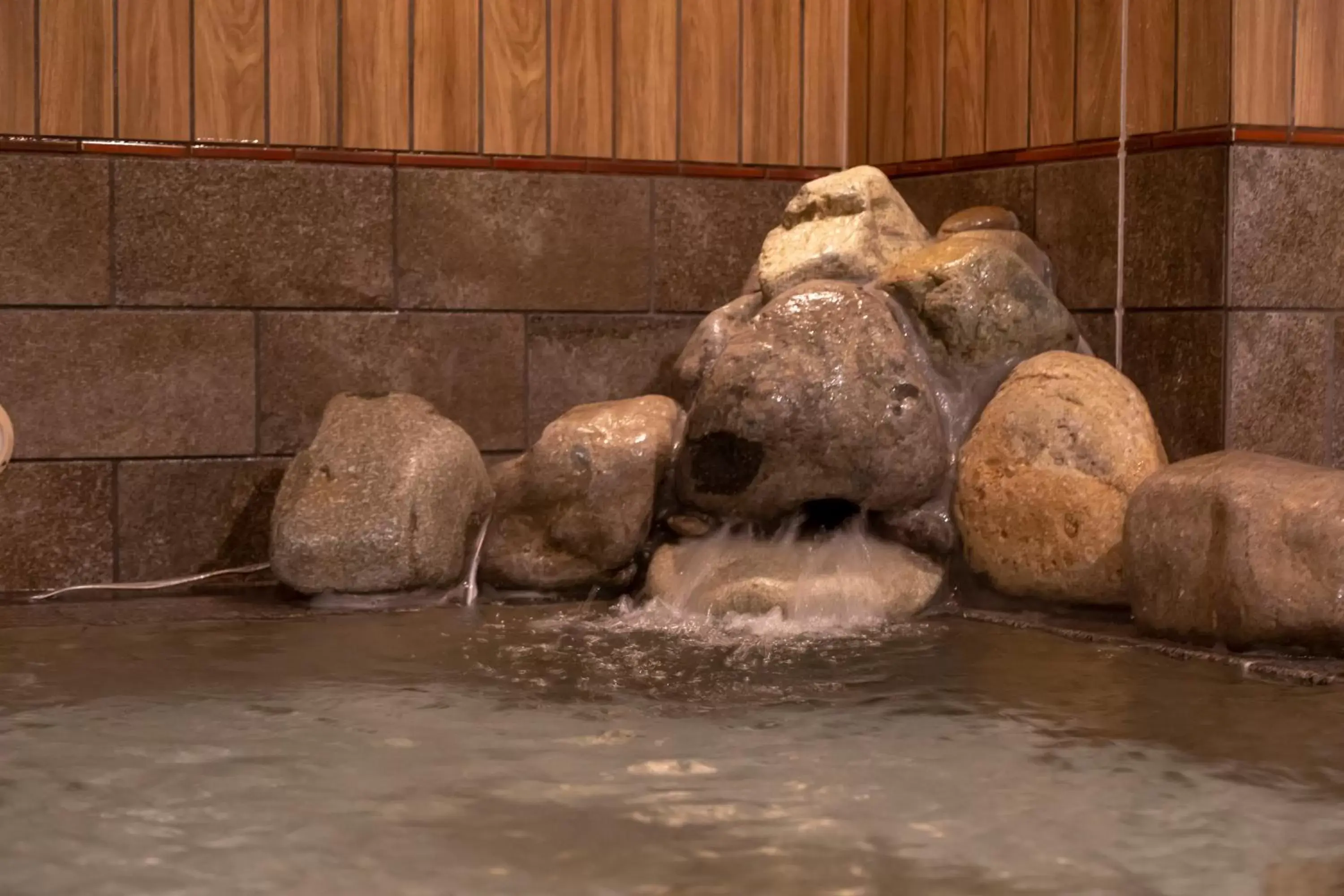 Public Bath in Dormy Inn Premium Fukui Natural Hot Spring