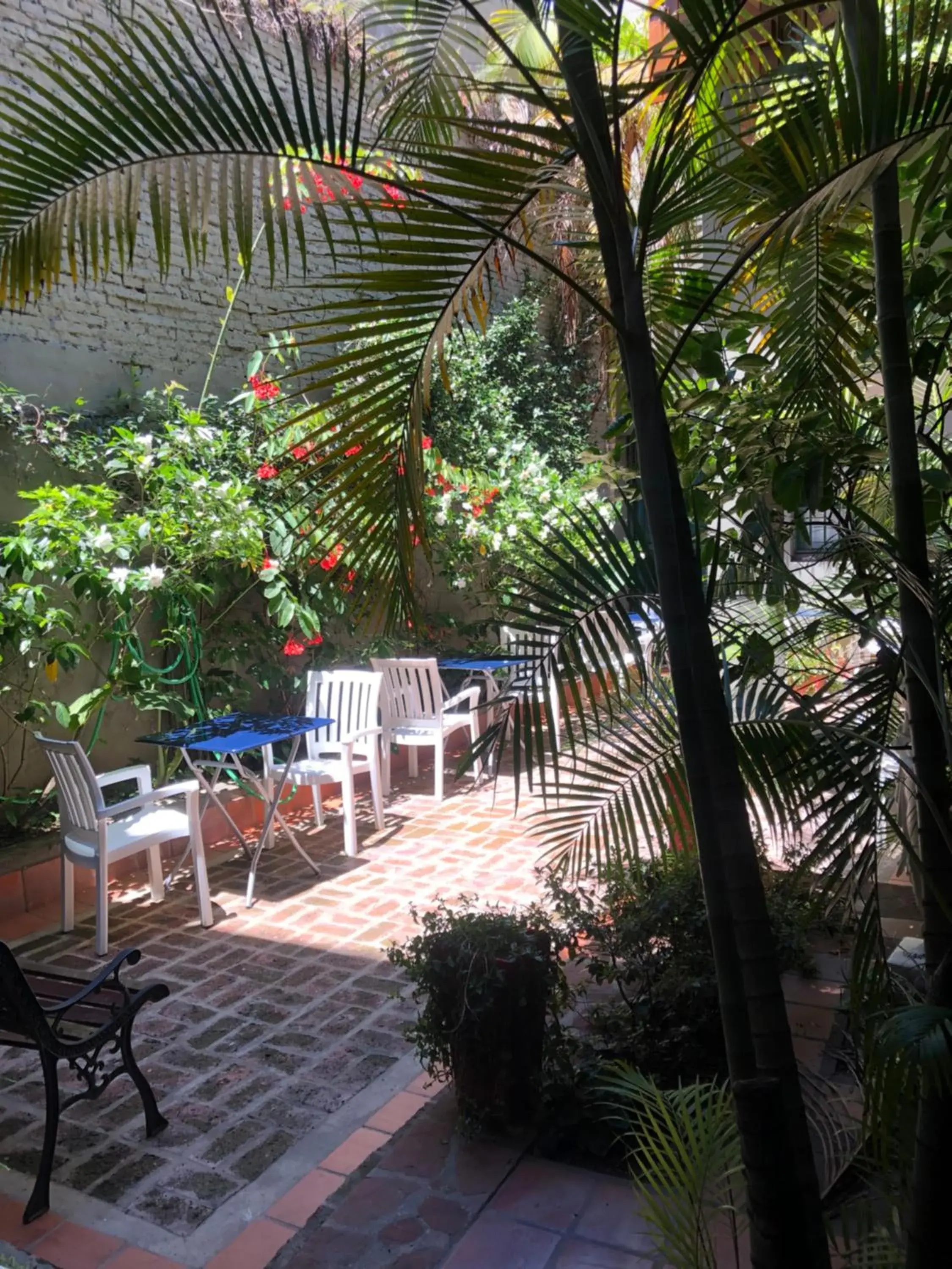 Patio in Sissi Haz Hotel